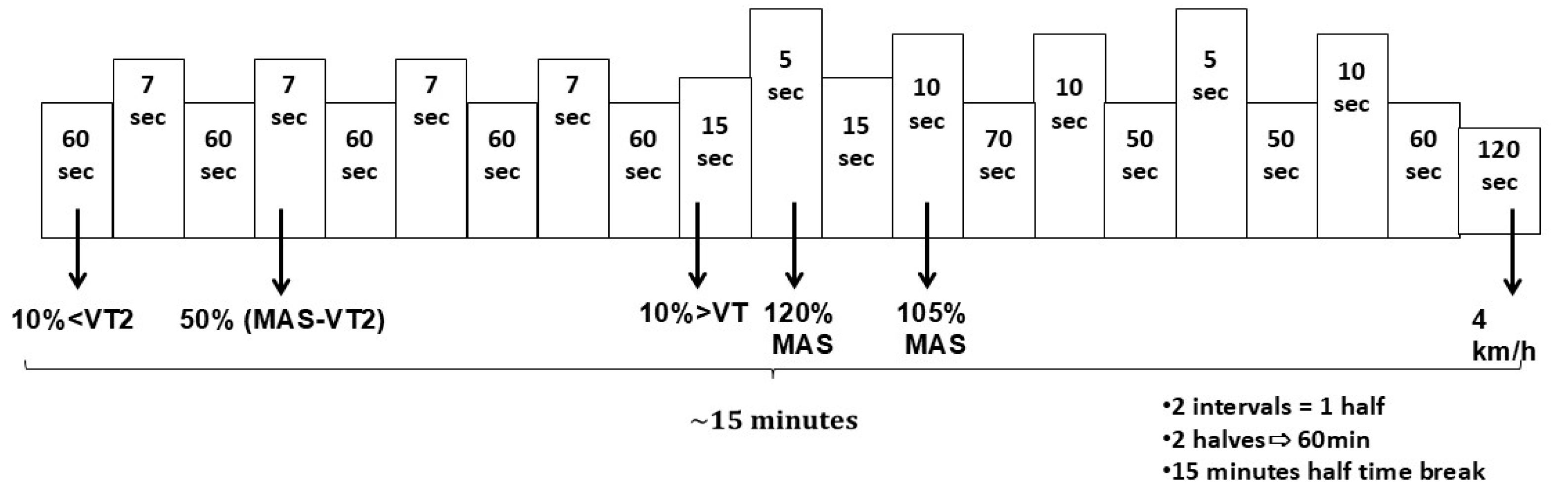 Sports 13 00192 g001