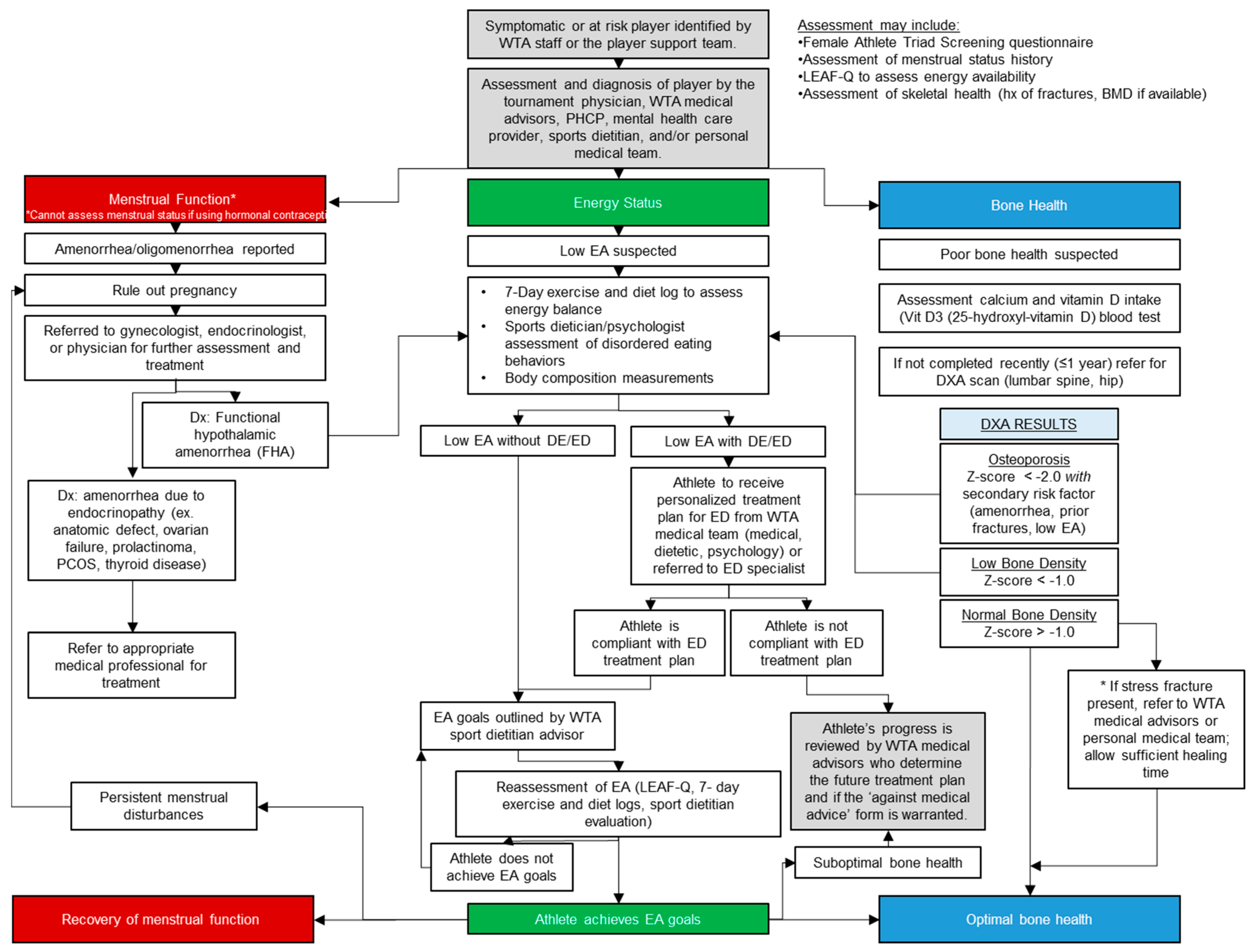 Sports 13 00205 g001