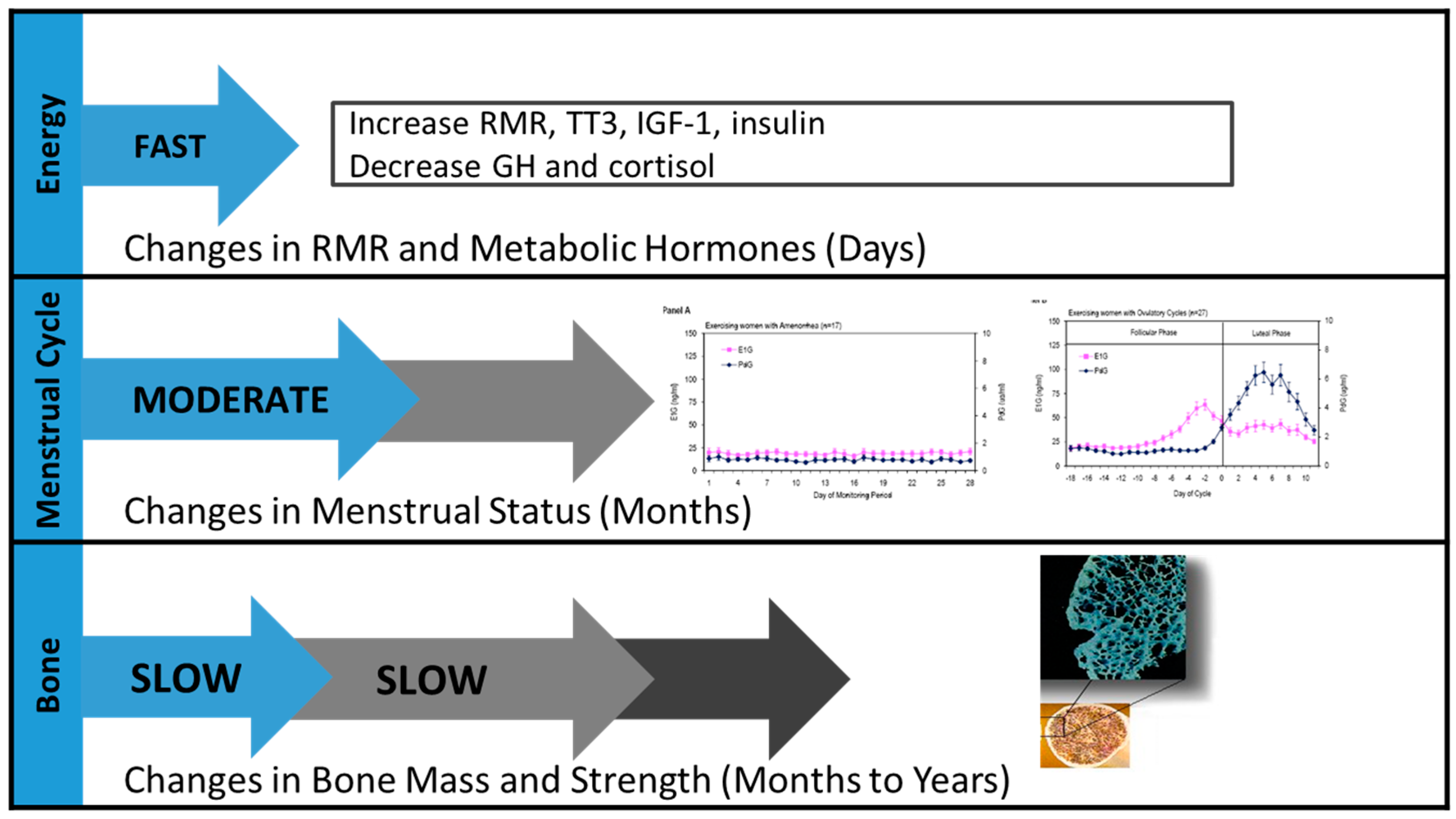 Sports 13 00205 g002