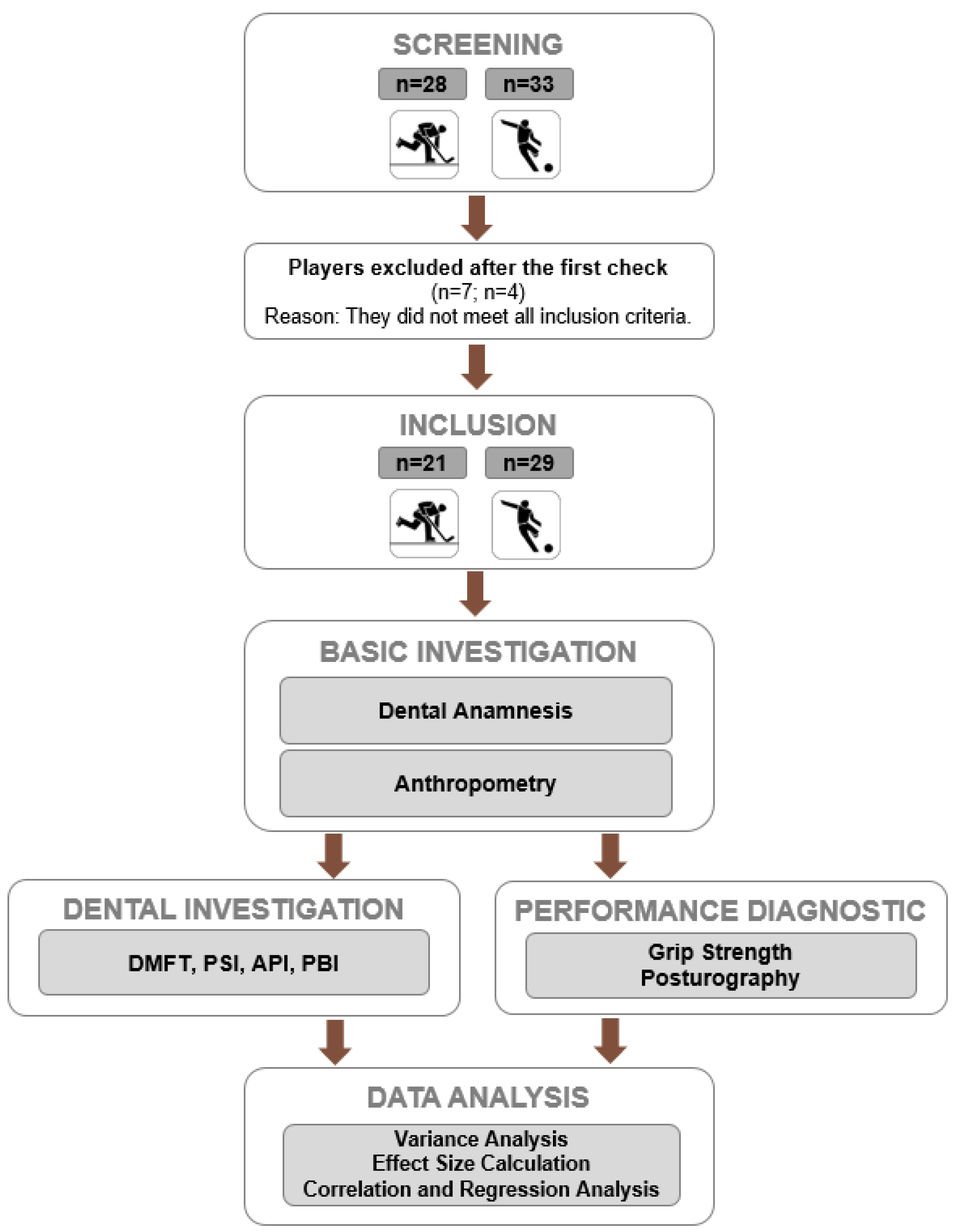 Sports 13 00206 g001