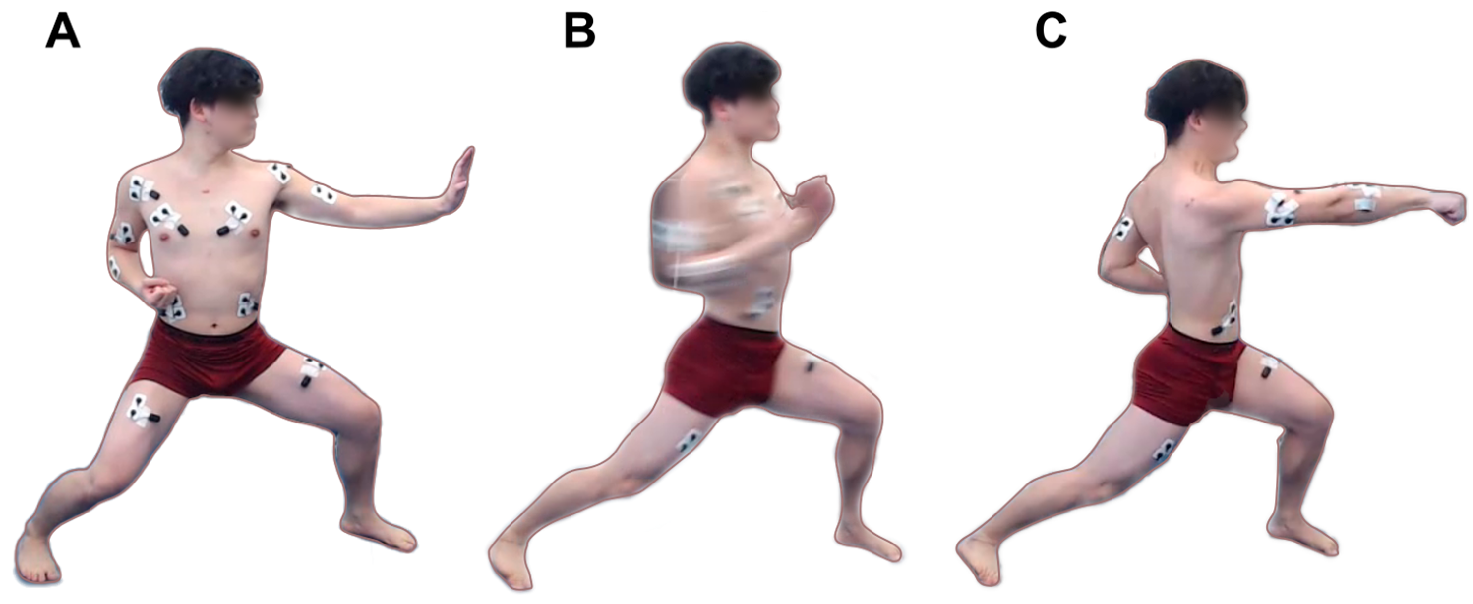 Sports 13 00218 g001