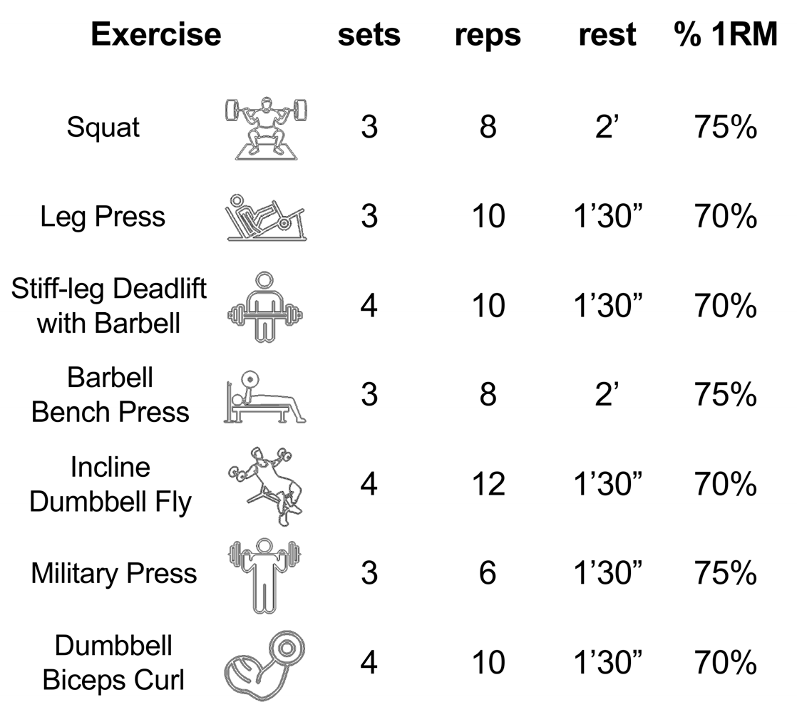 Sports 13 00221 g001