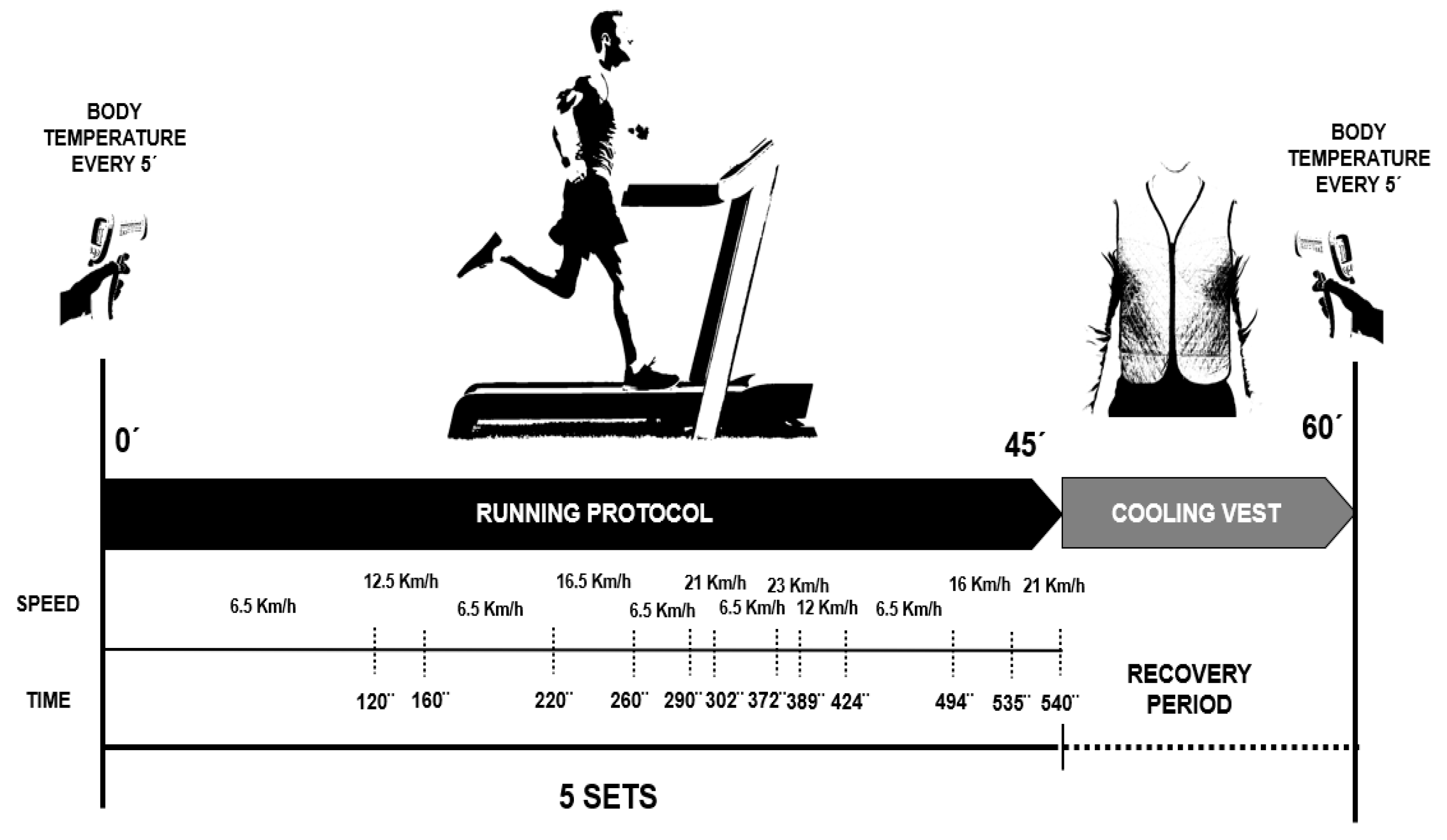 Sports 13 00235 g002