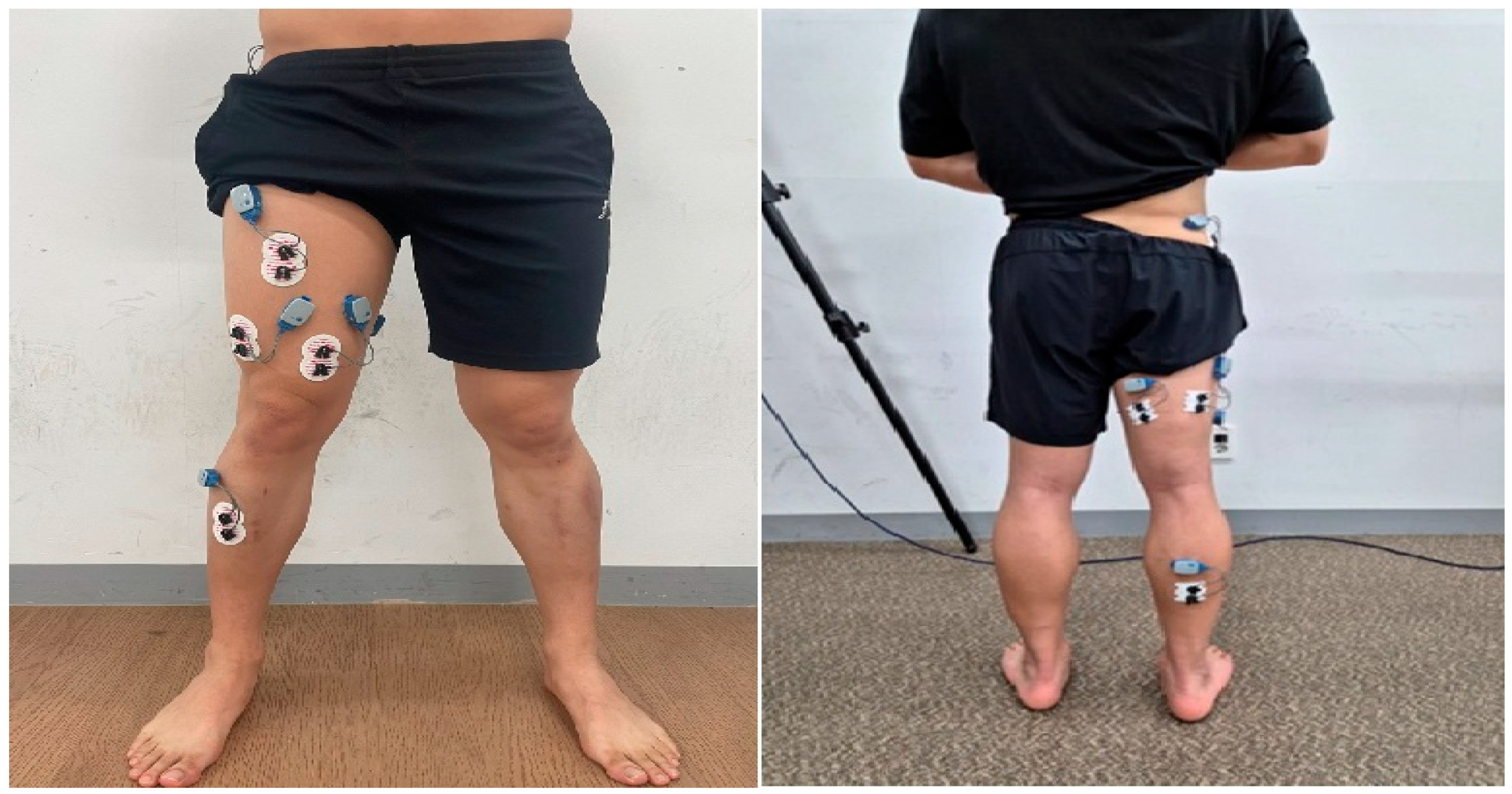 Sports 13 00242 g001