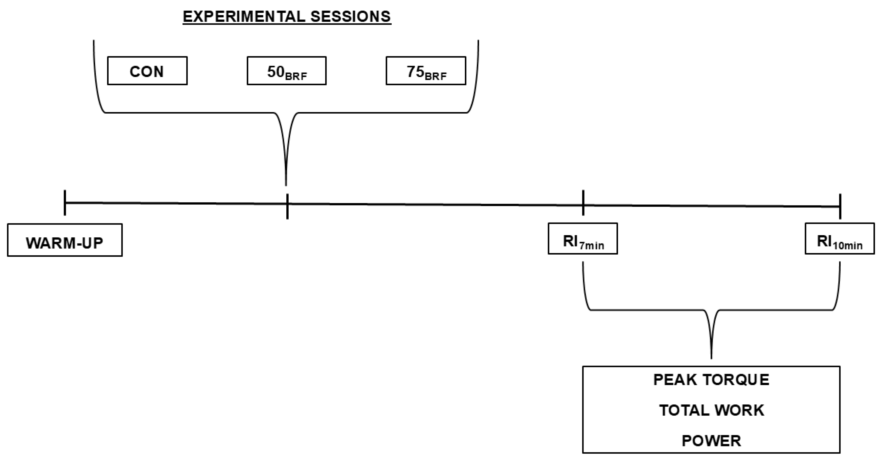 Sports 13 00243 g001