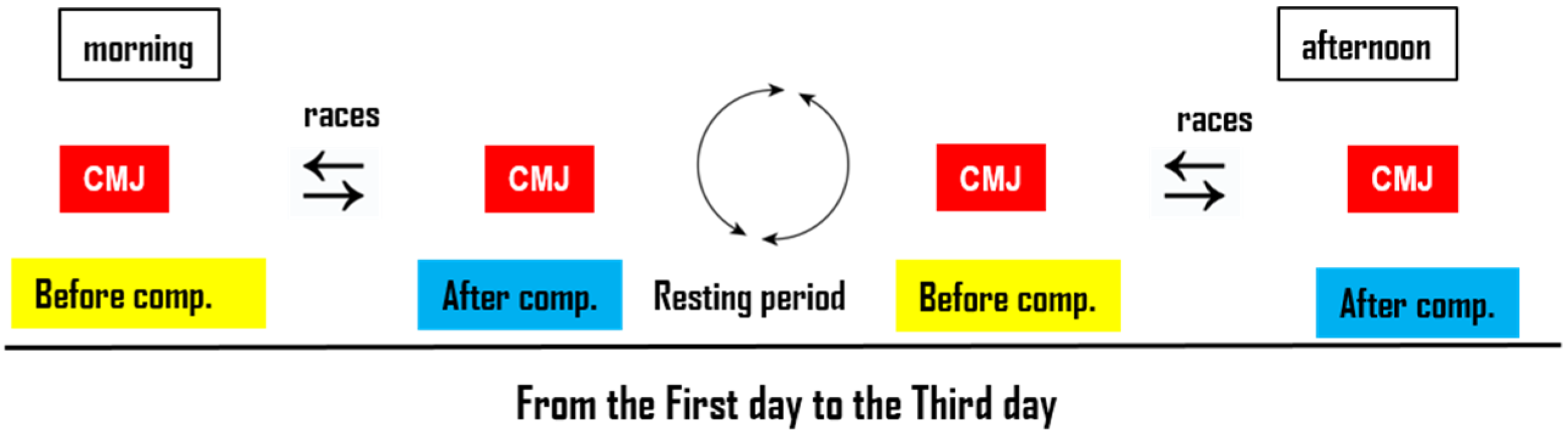 Sports 13 00254 g001 Sports 13 00254 g001