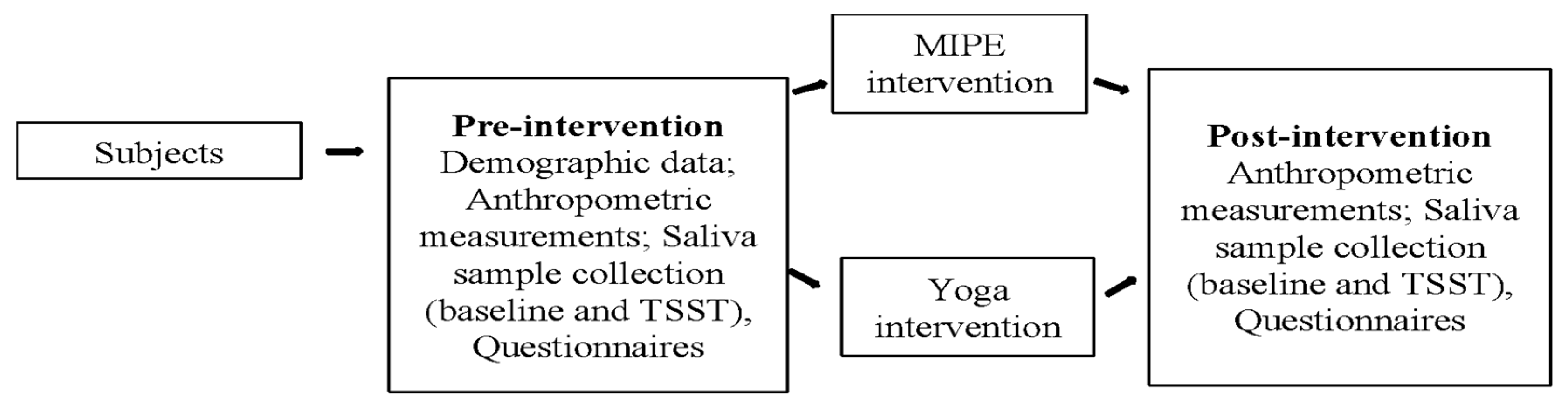 Sports 13 00266 g001