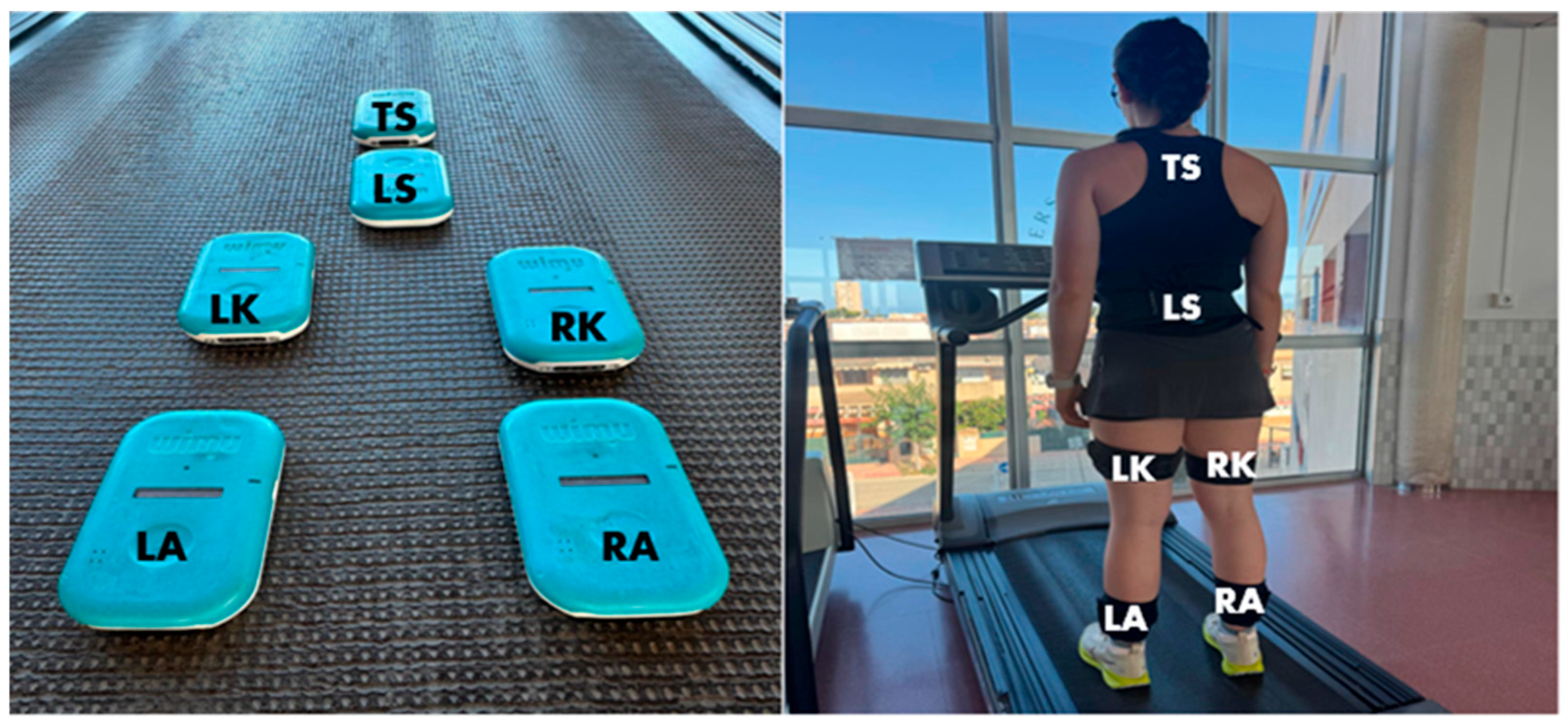 Sports 13 00268 g001