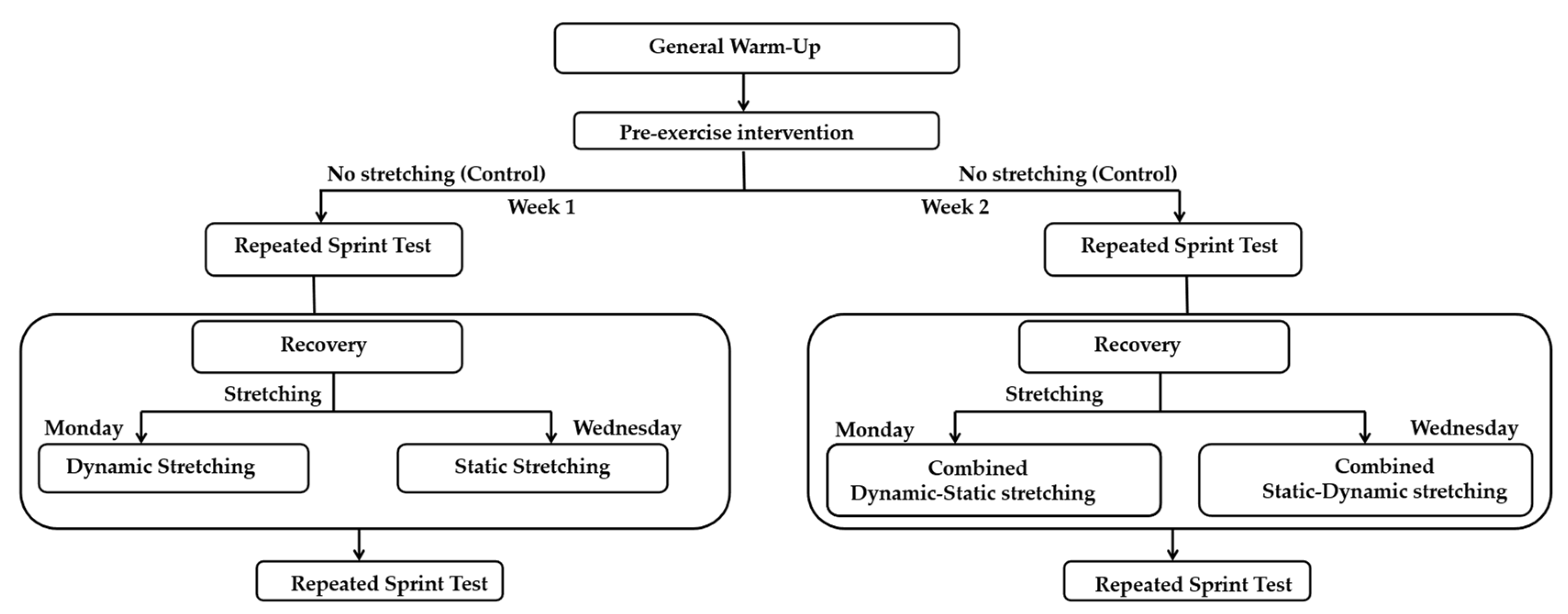 Sports 13 00275 g001