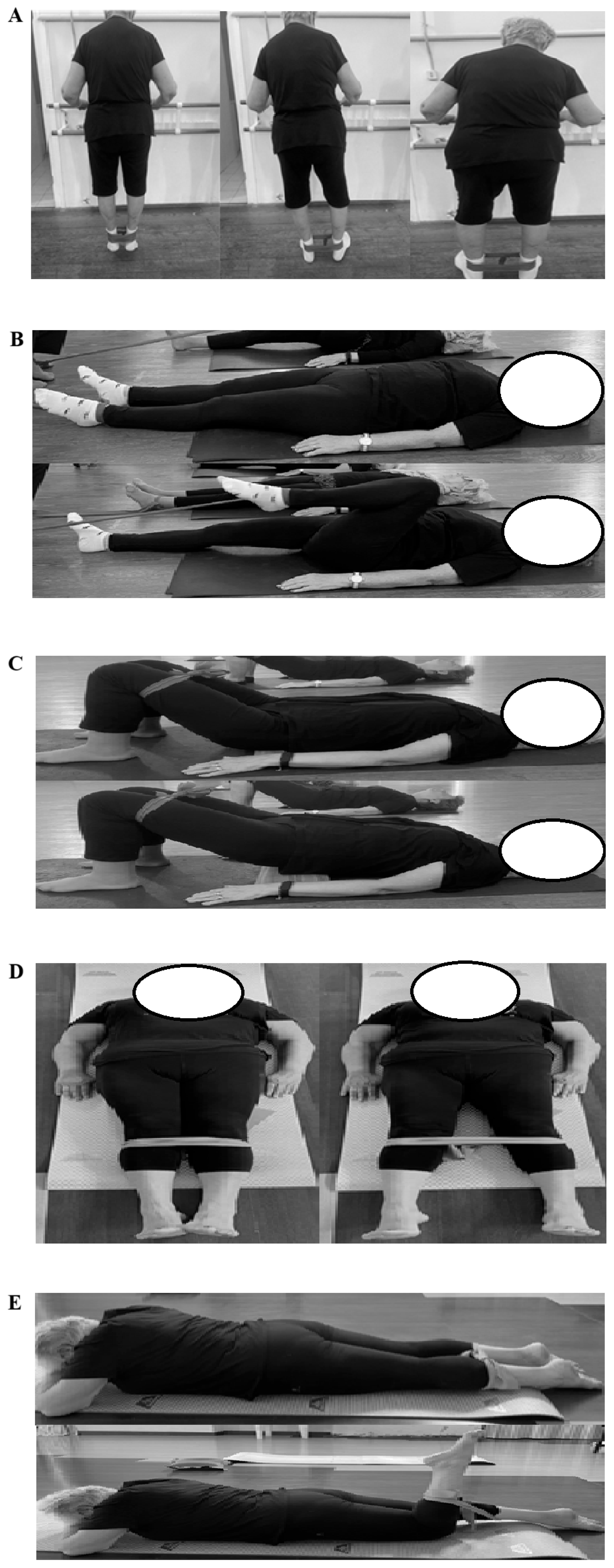 Sports 13 00276 g002