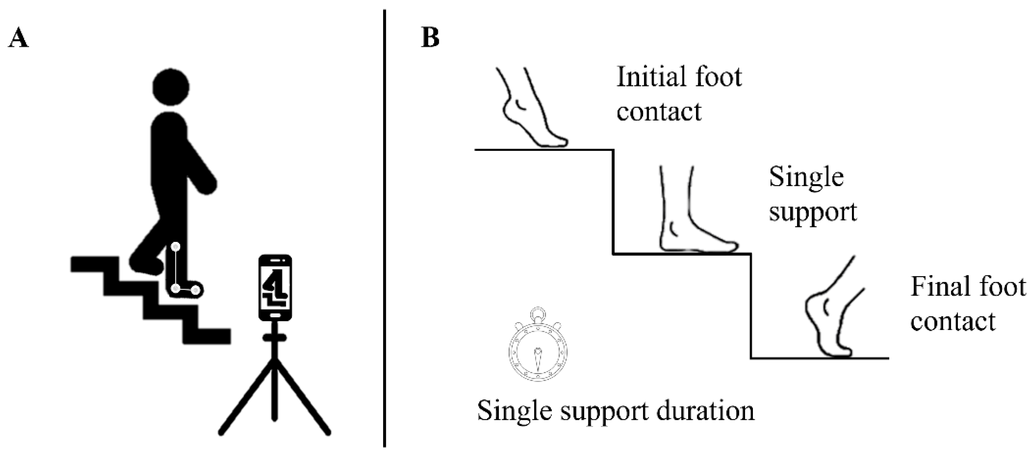 Sports 13 00276 g003