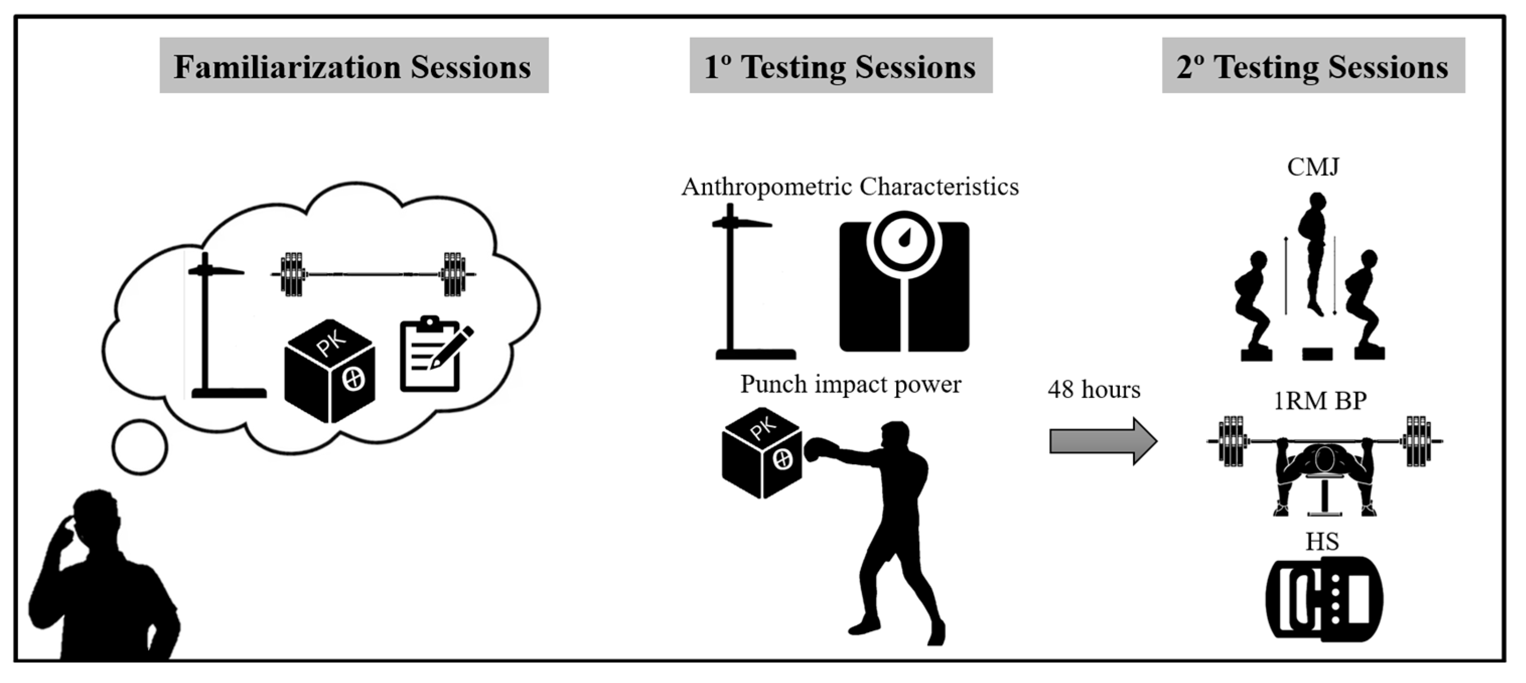 Sports 13 00281 g001