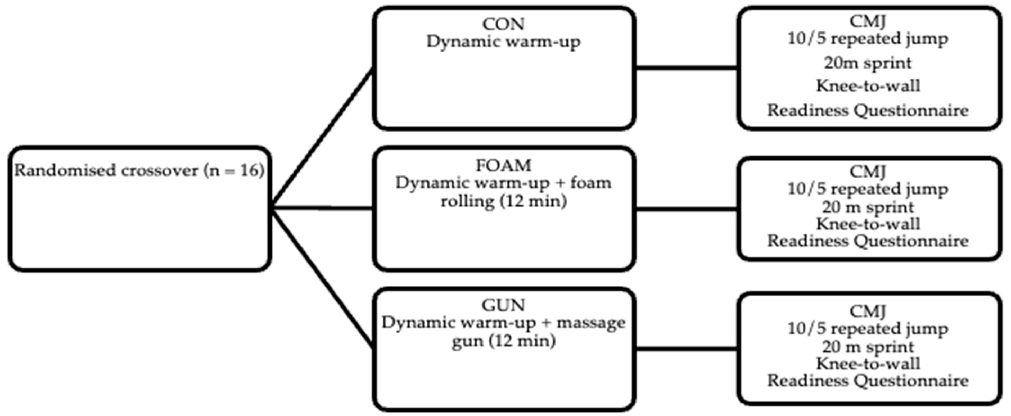 Sports 13 00282 g001