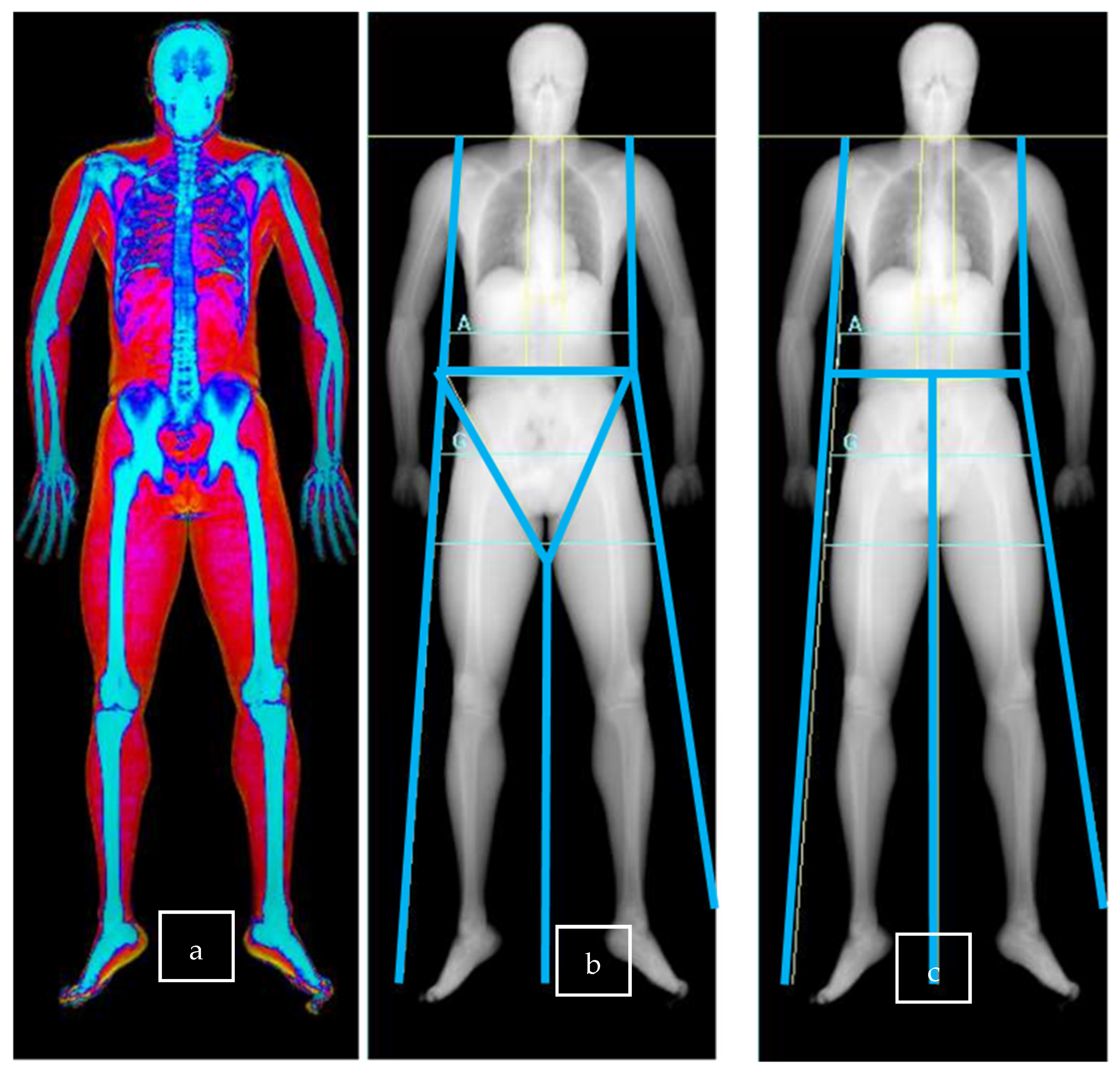 Sports 13 00285 g001 Sports 13 00285 g001