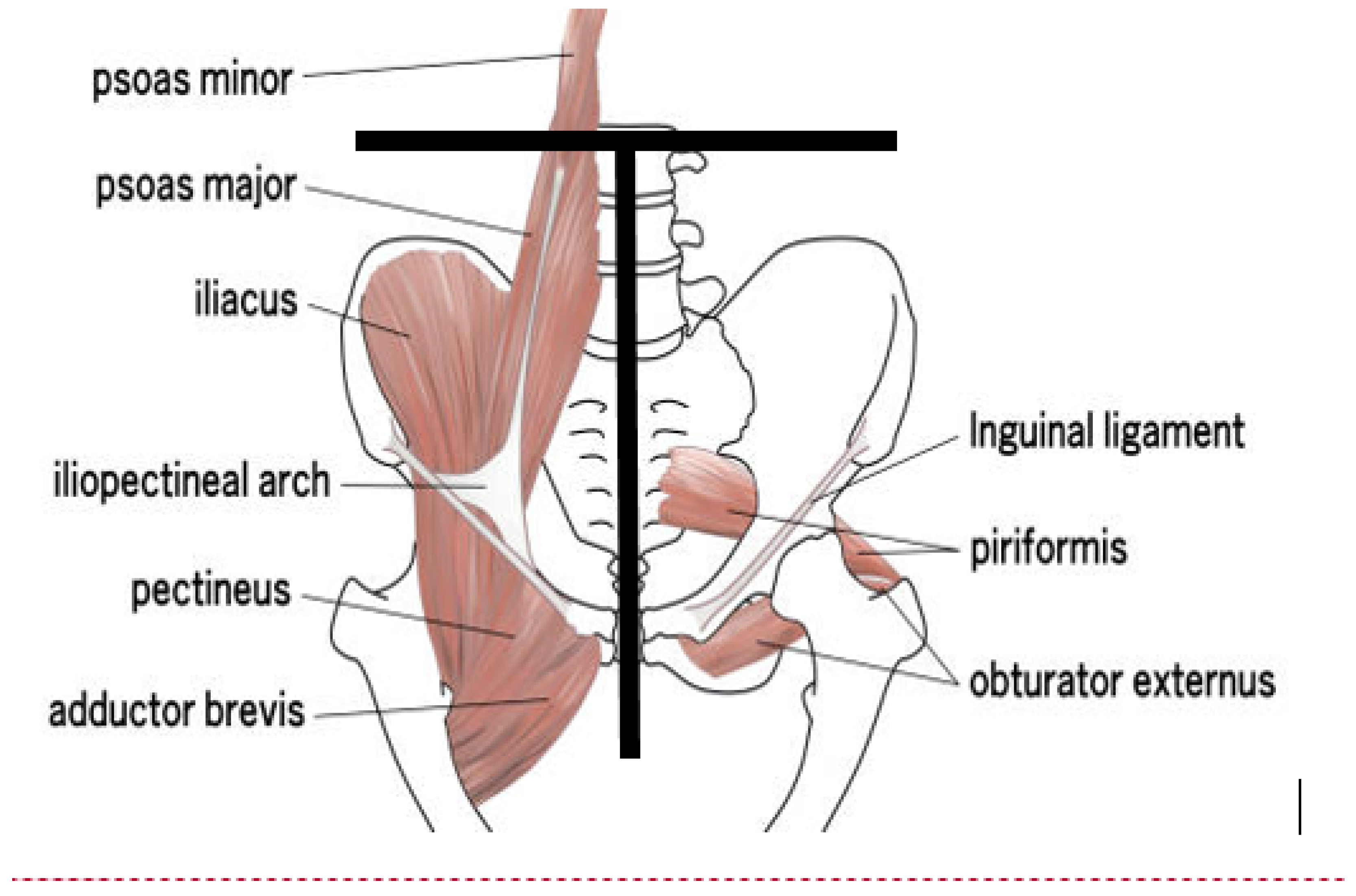Sports 13 00285 g002 Sports 13 00285 g002