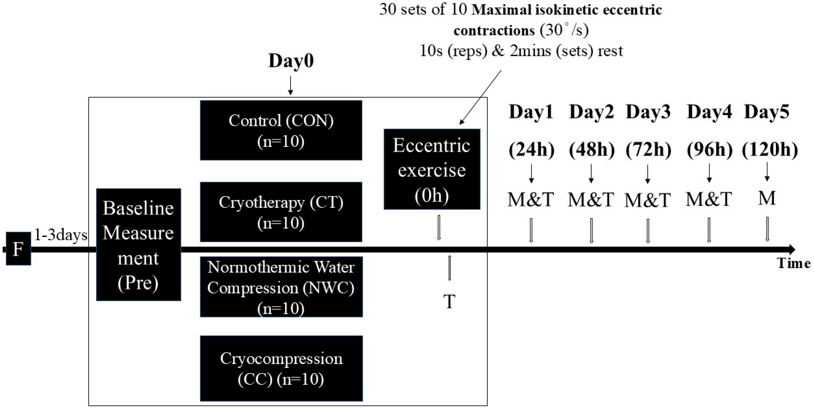 Sports 13 00290 g001