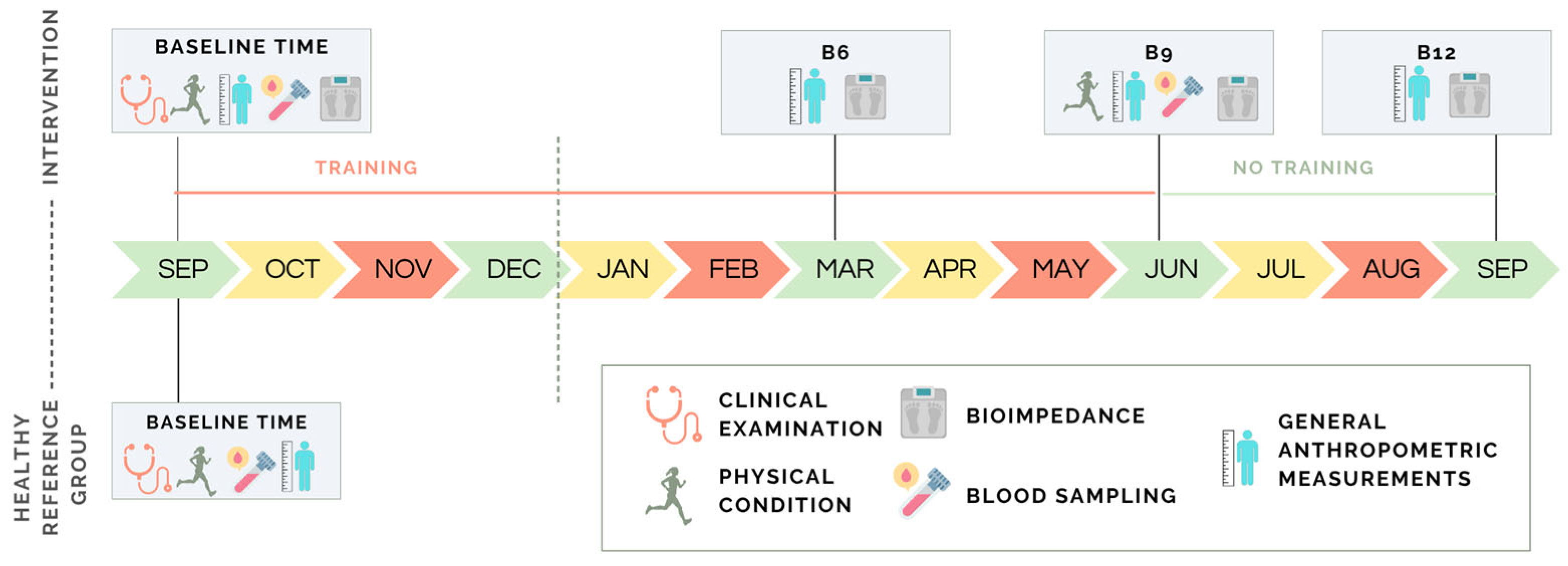 Sports 13 00291 g001 Sports 13 00291 g001