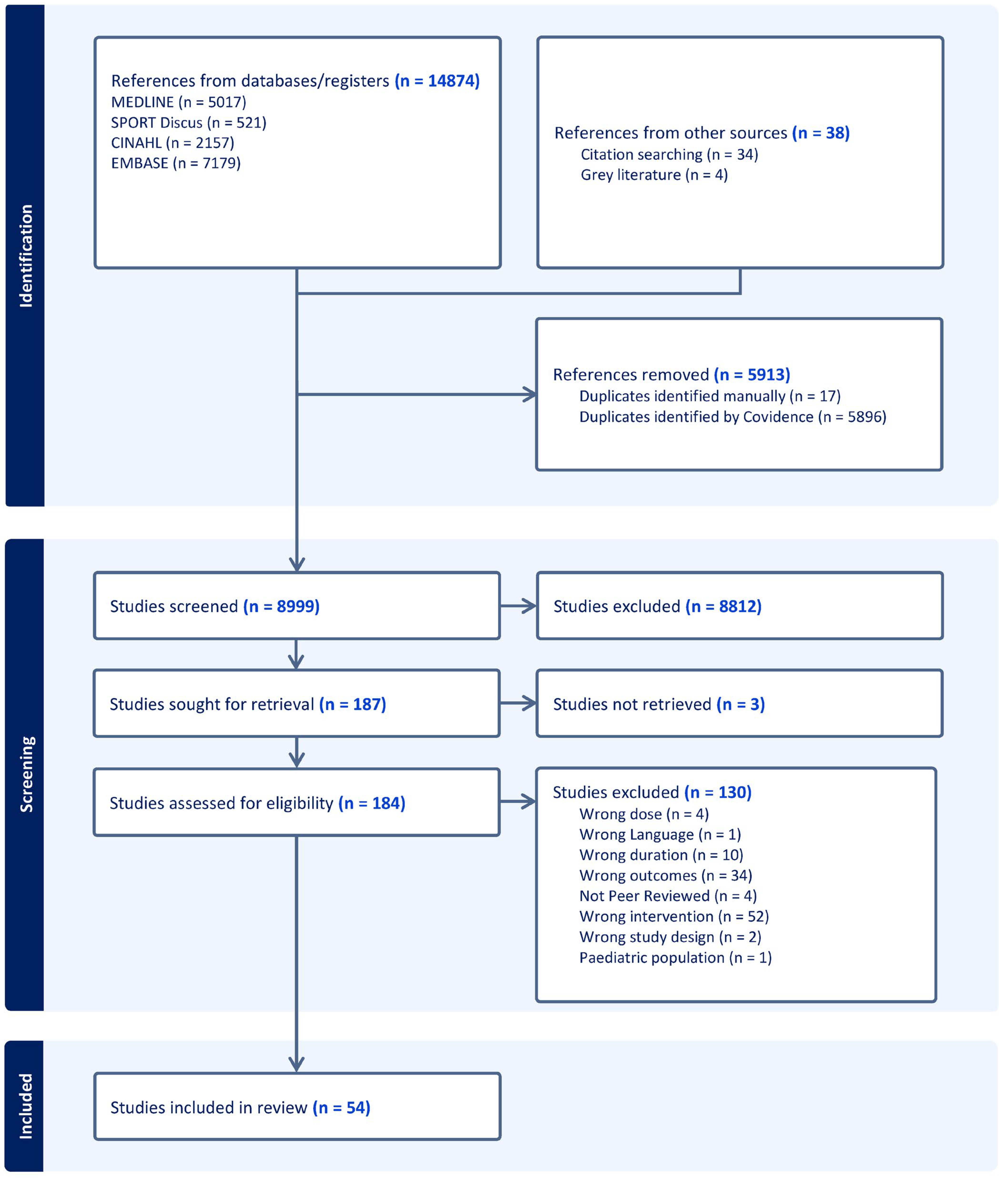 Sports 13 00293 g001