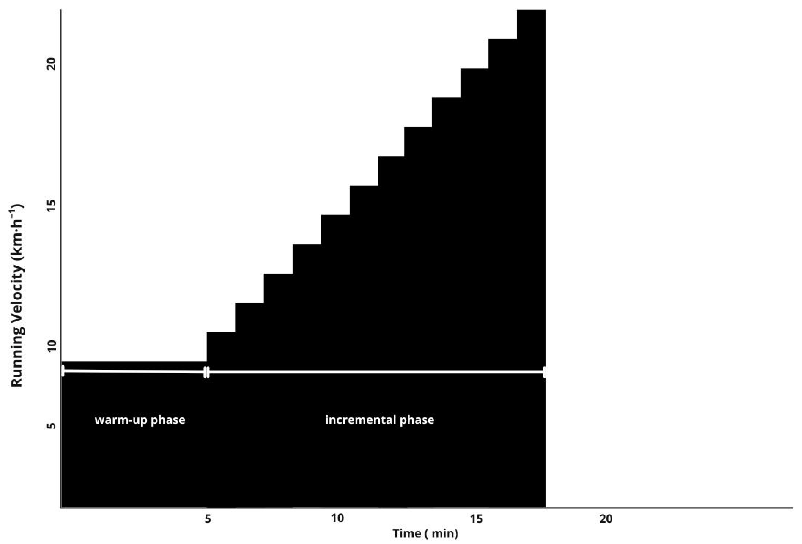 Sports 13 00294 g001