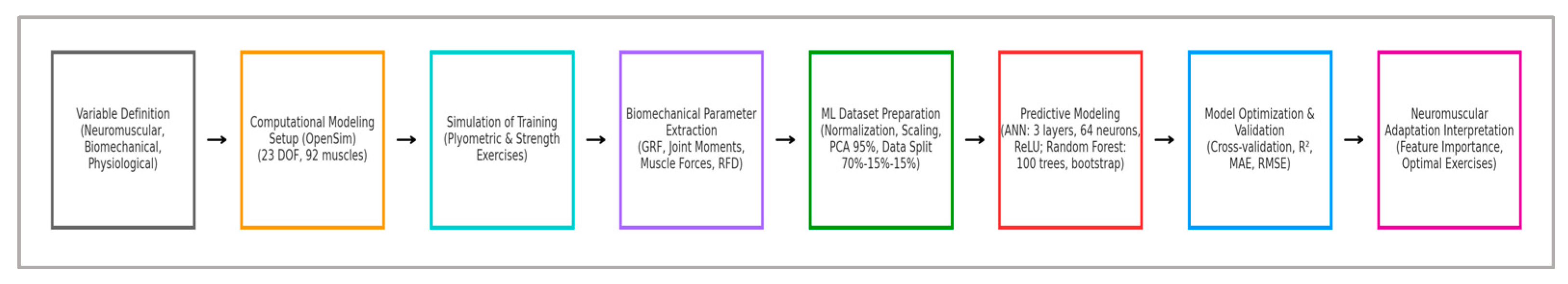 Sports 13 00298 g001