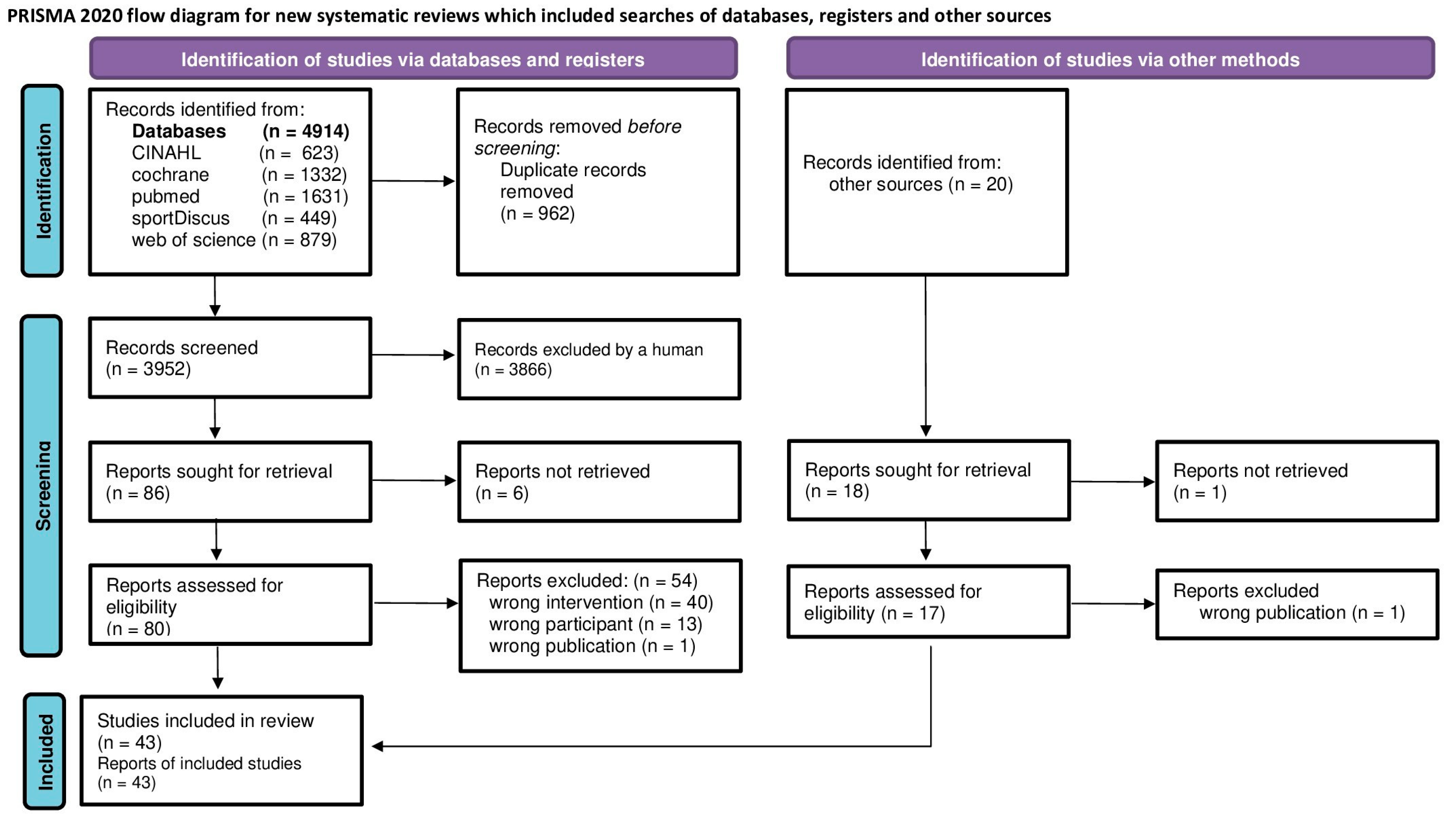 Sports 13 00302 g001 Sports 13 00302 g001