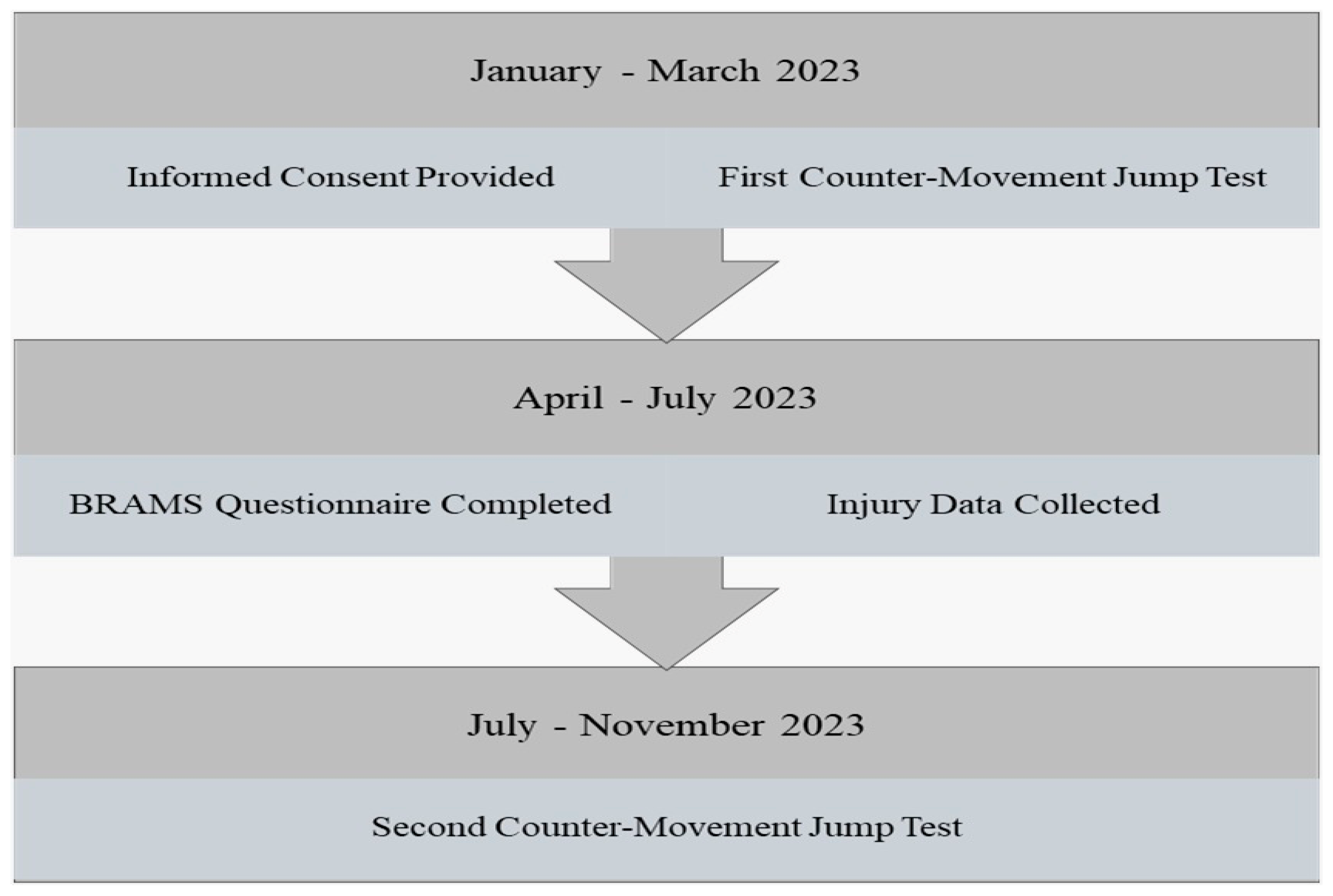 Sports 13 00303 g001