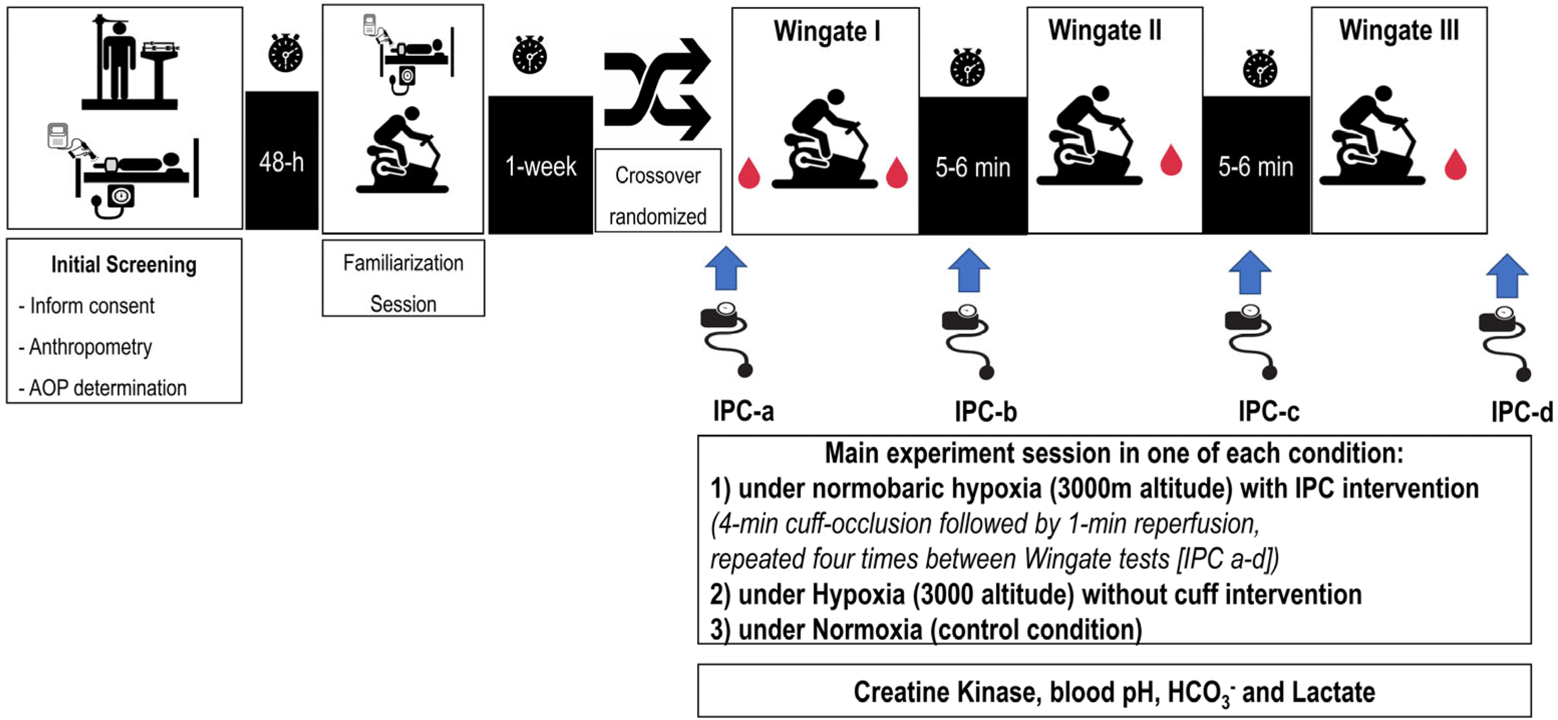 Sports 13 00313 g001