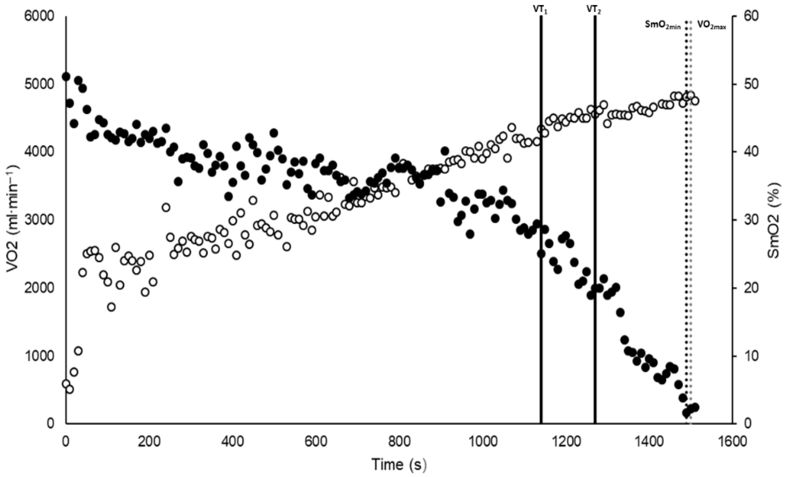 Sports 13 00316 g001