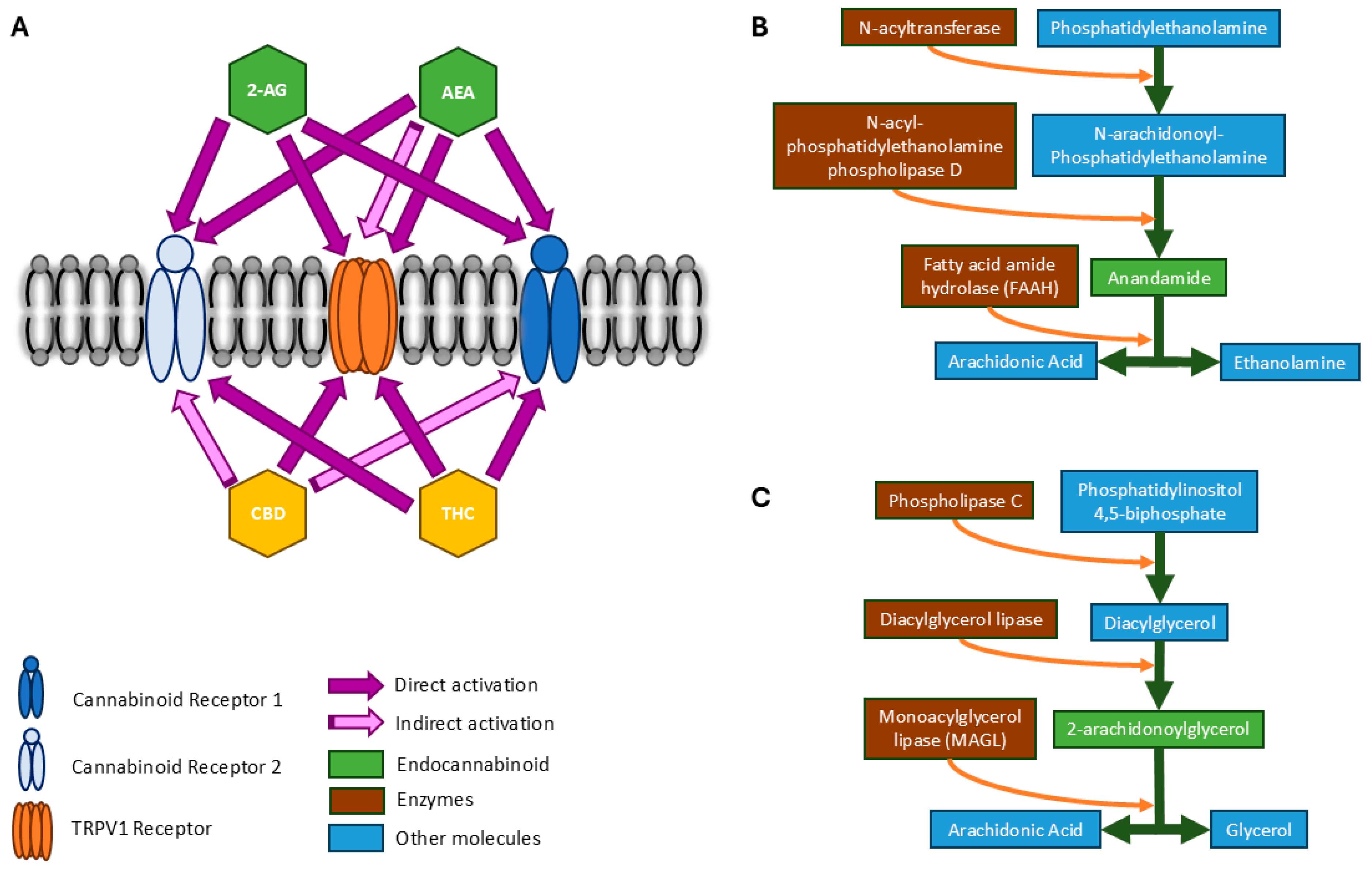 Sports 13 00320 g001