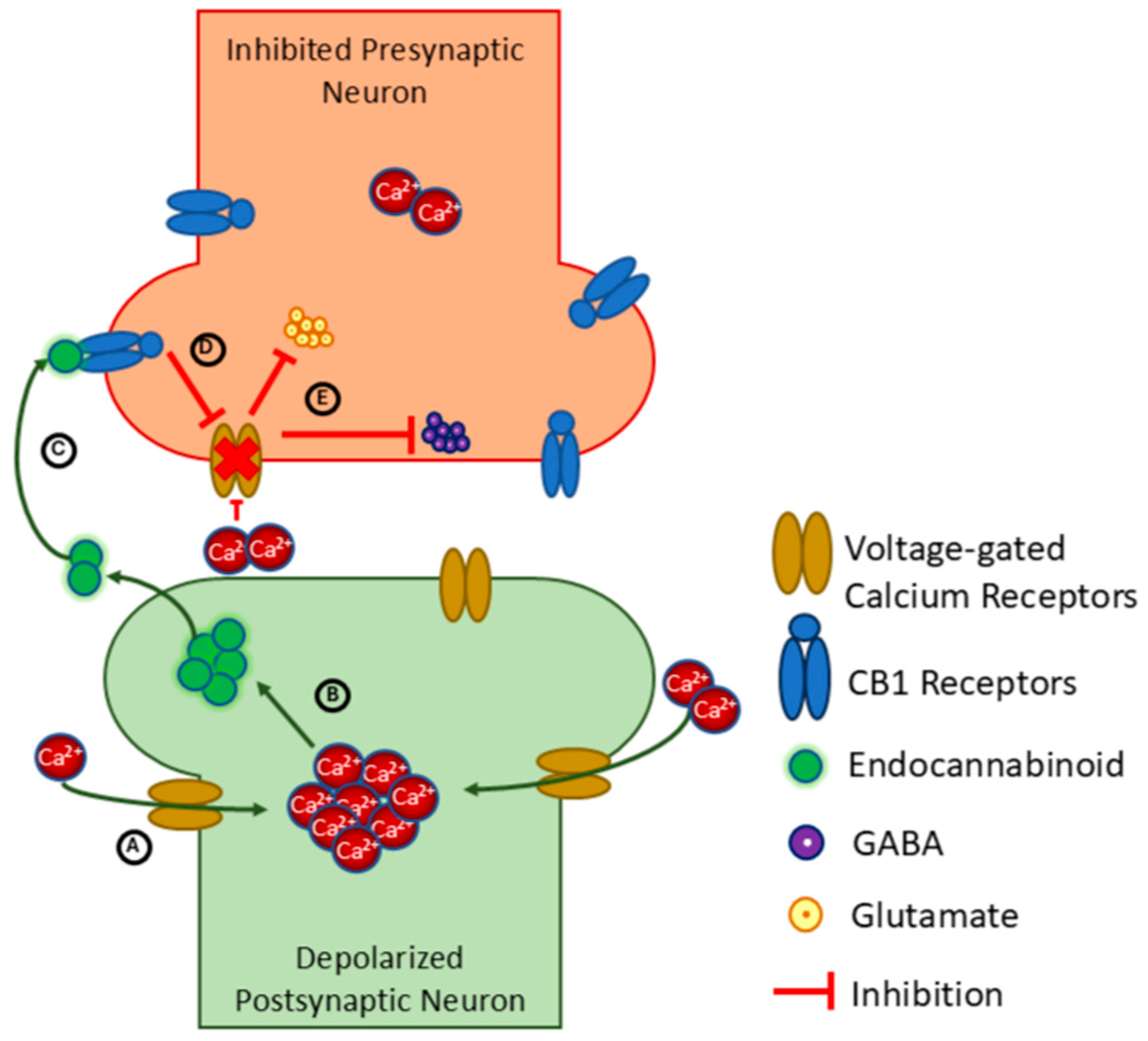 Sports 13 00320 g002