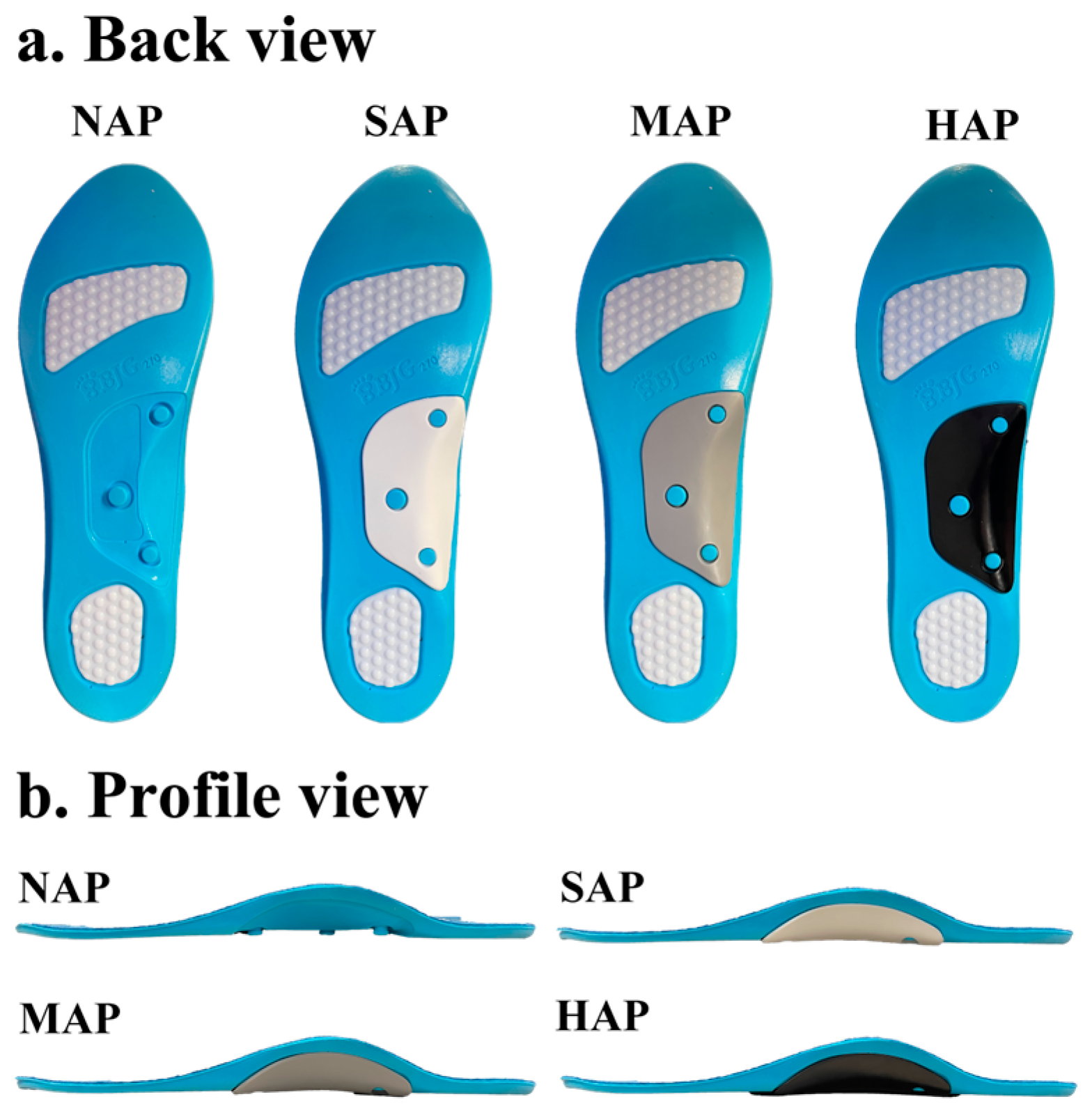 Sports 13 00323 g001