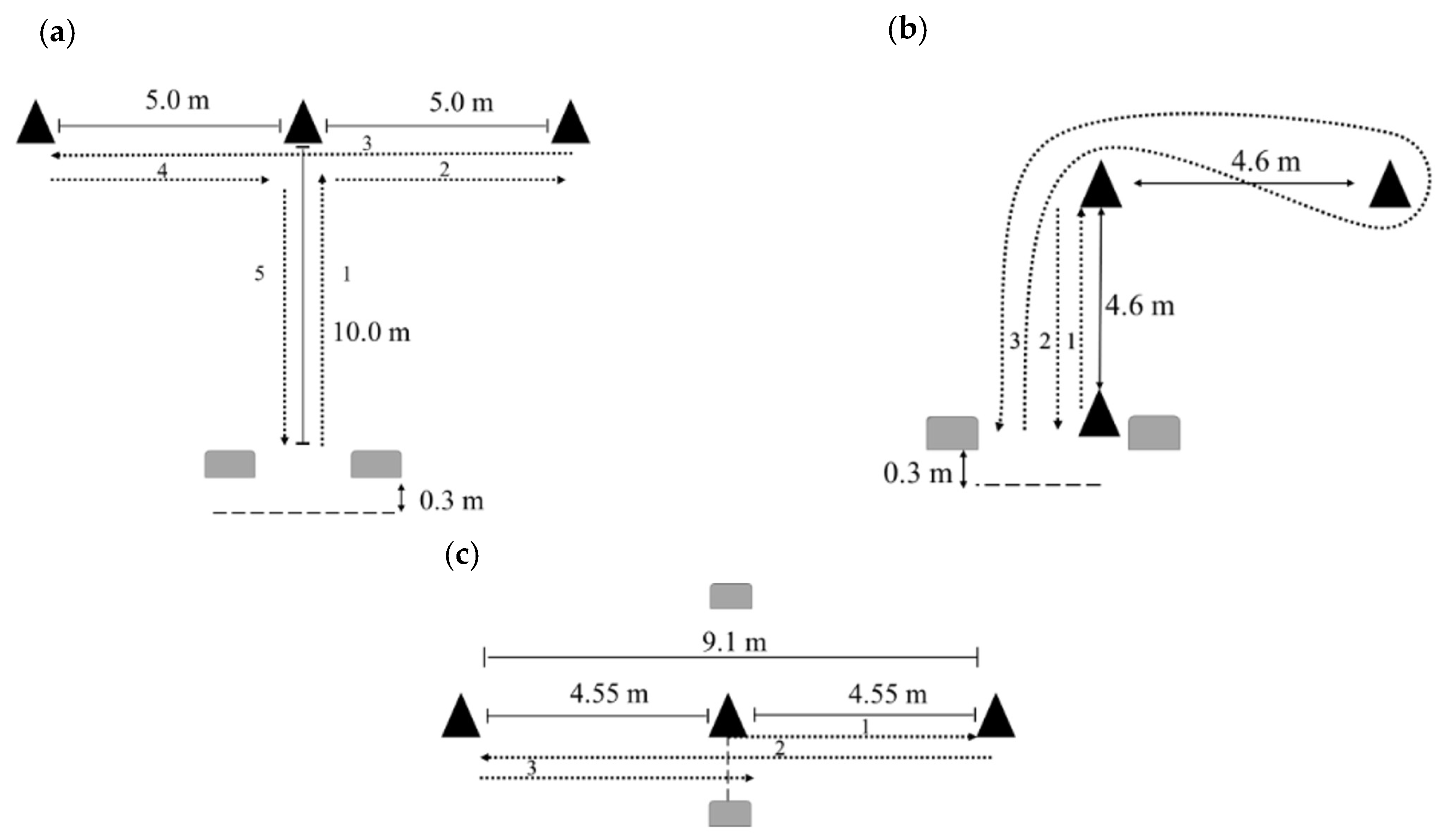 Sports 13 00339 g001