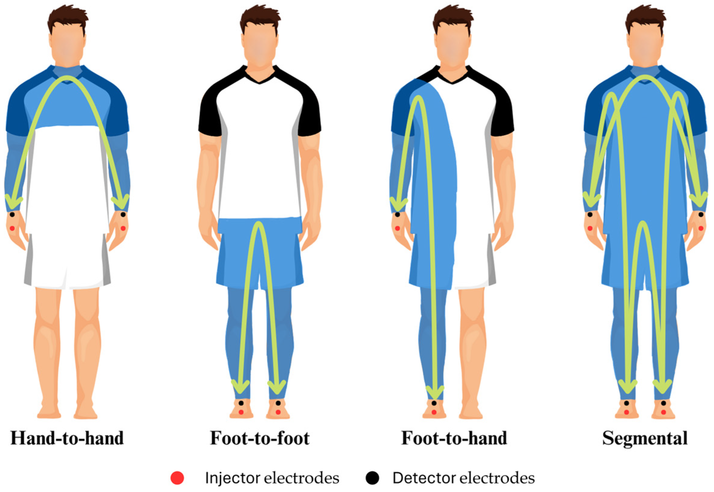 Sports 13 00348 g001