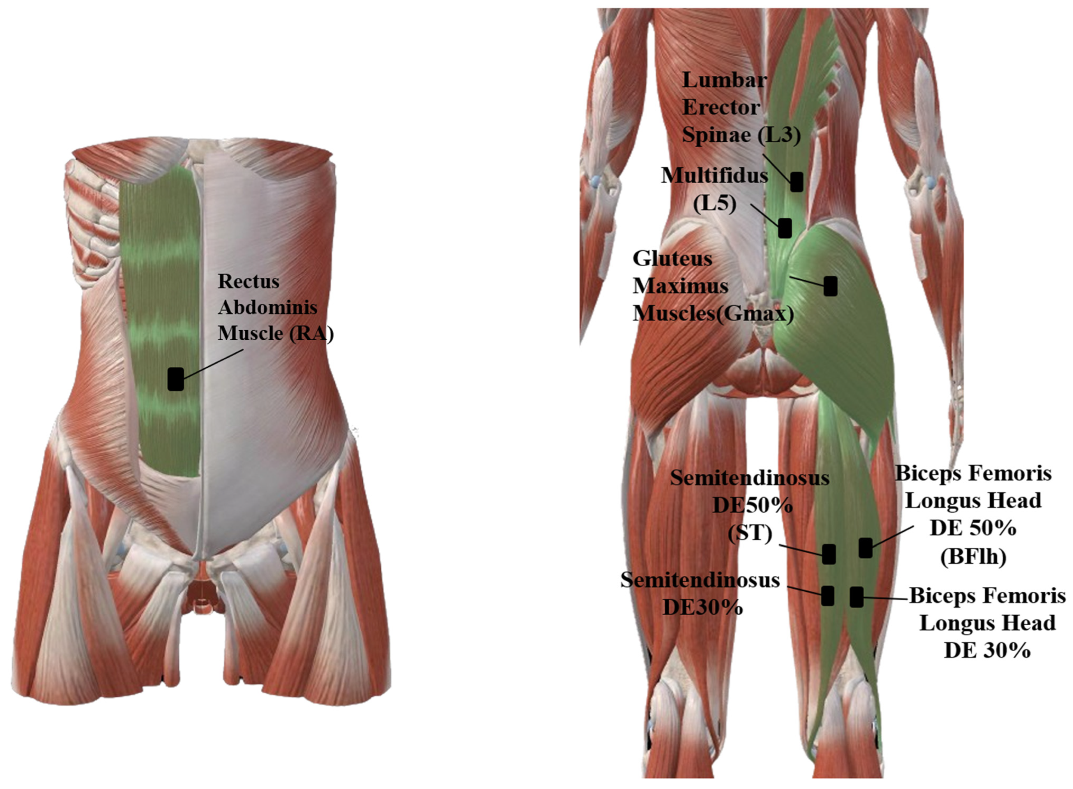 Sports 13 00364 g002 Sports 13 00364 g002