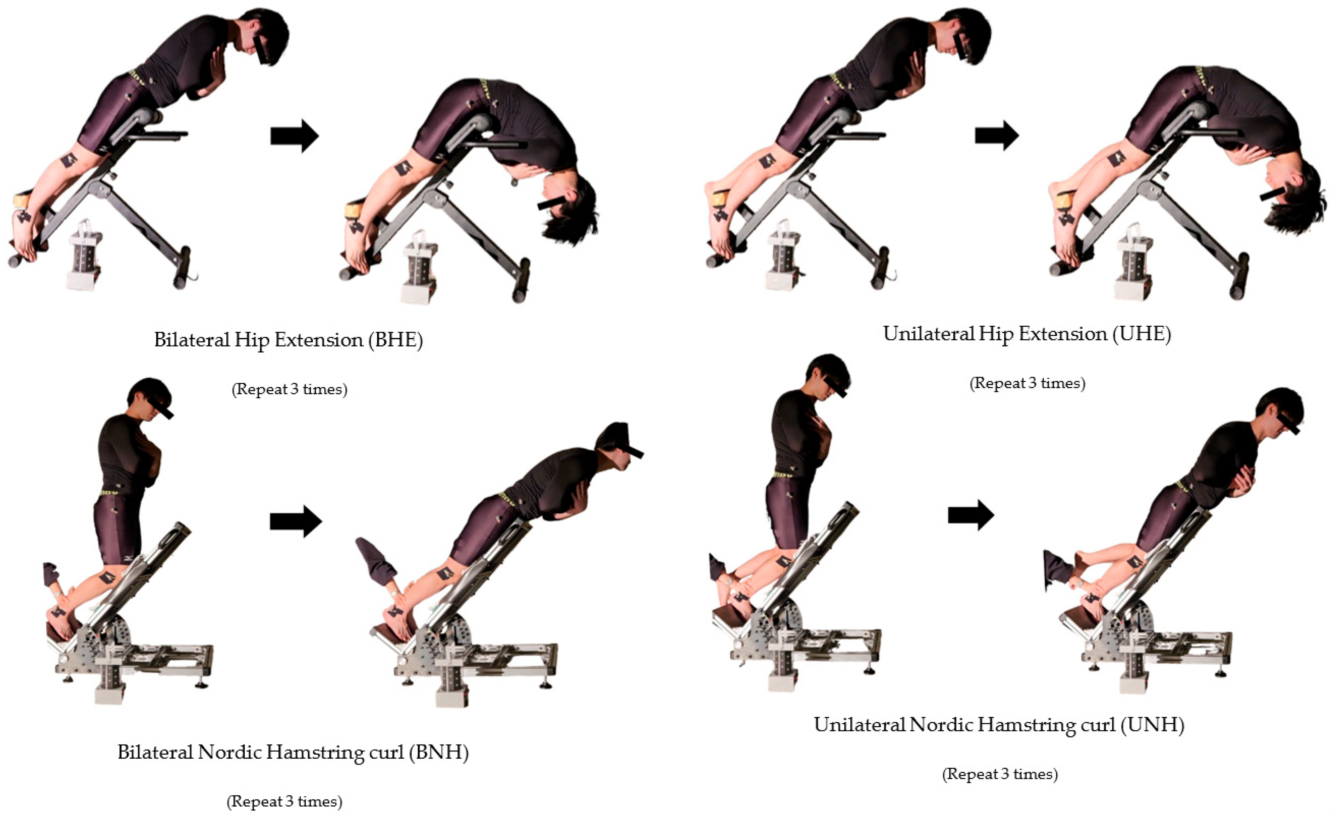 Sports 13 00364 g003 Sports 13 00364 g003