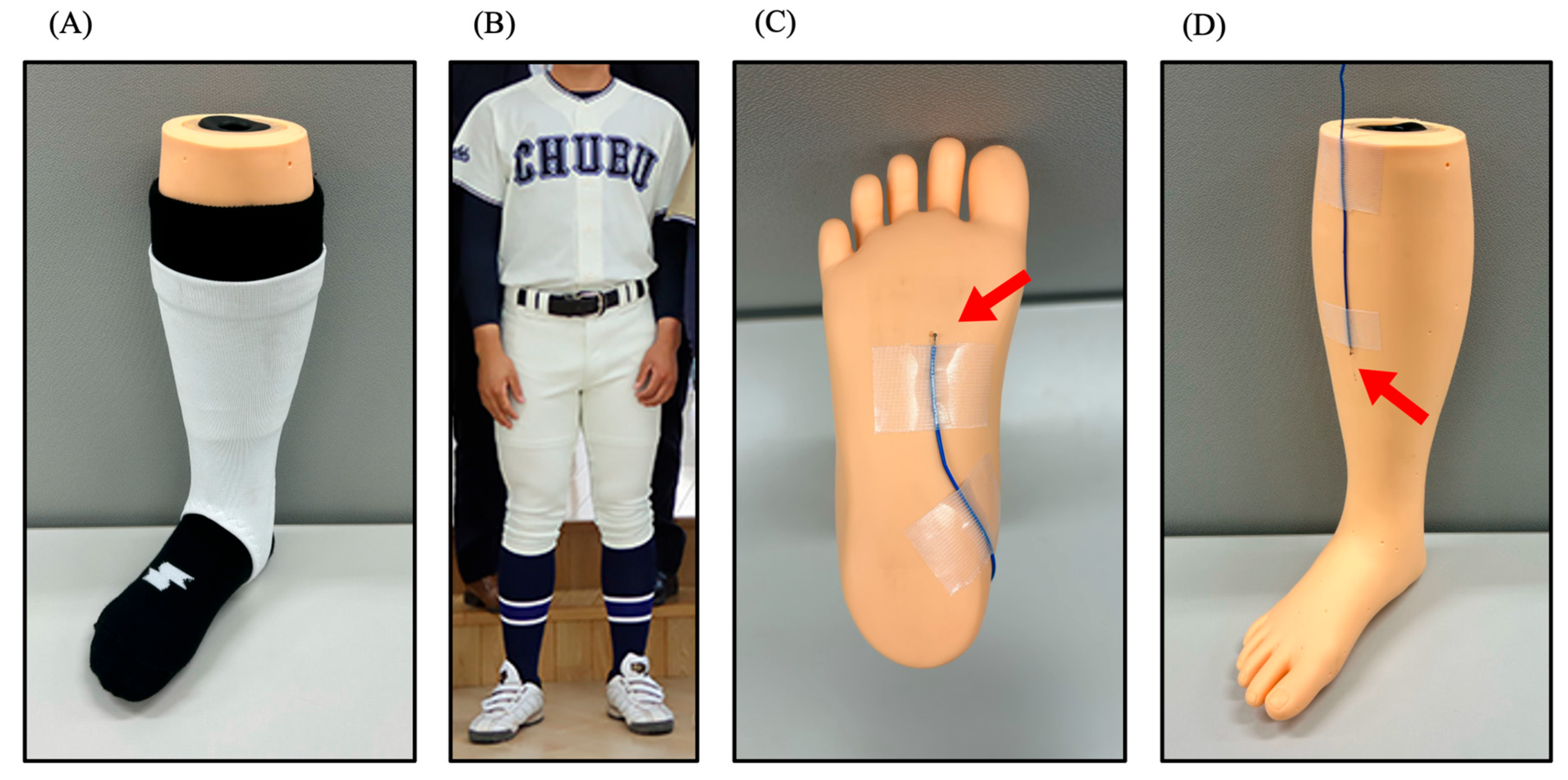 Sports 13 00369 g001