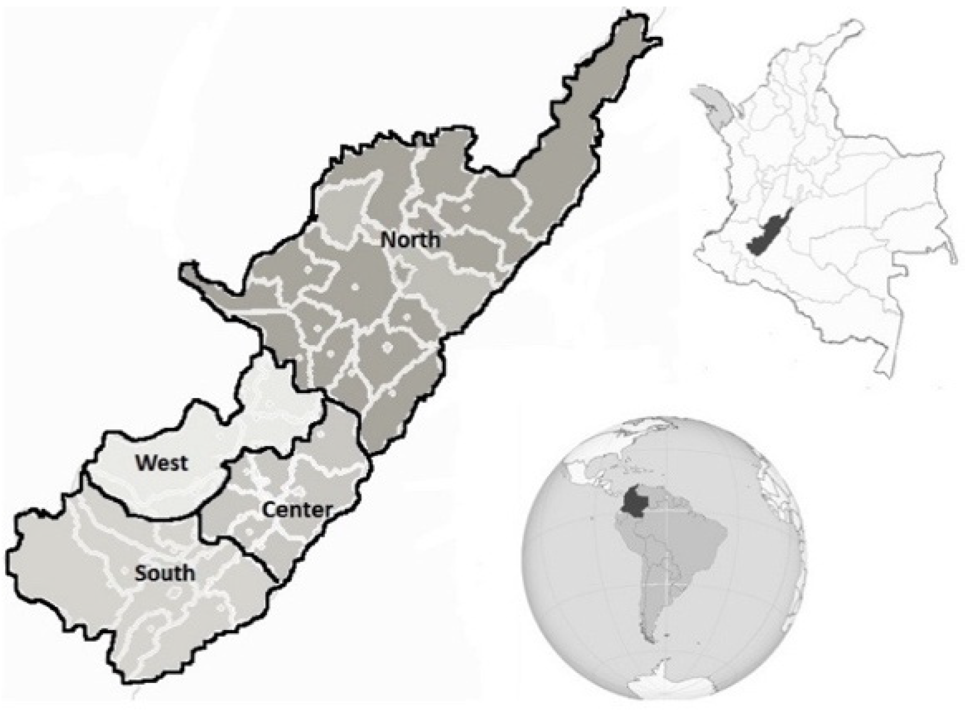 Sports 13 00371 g001 Sports 13 00371 g001