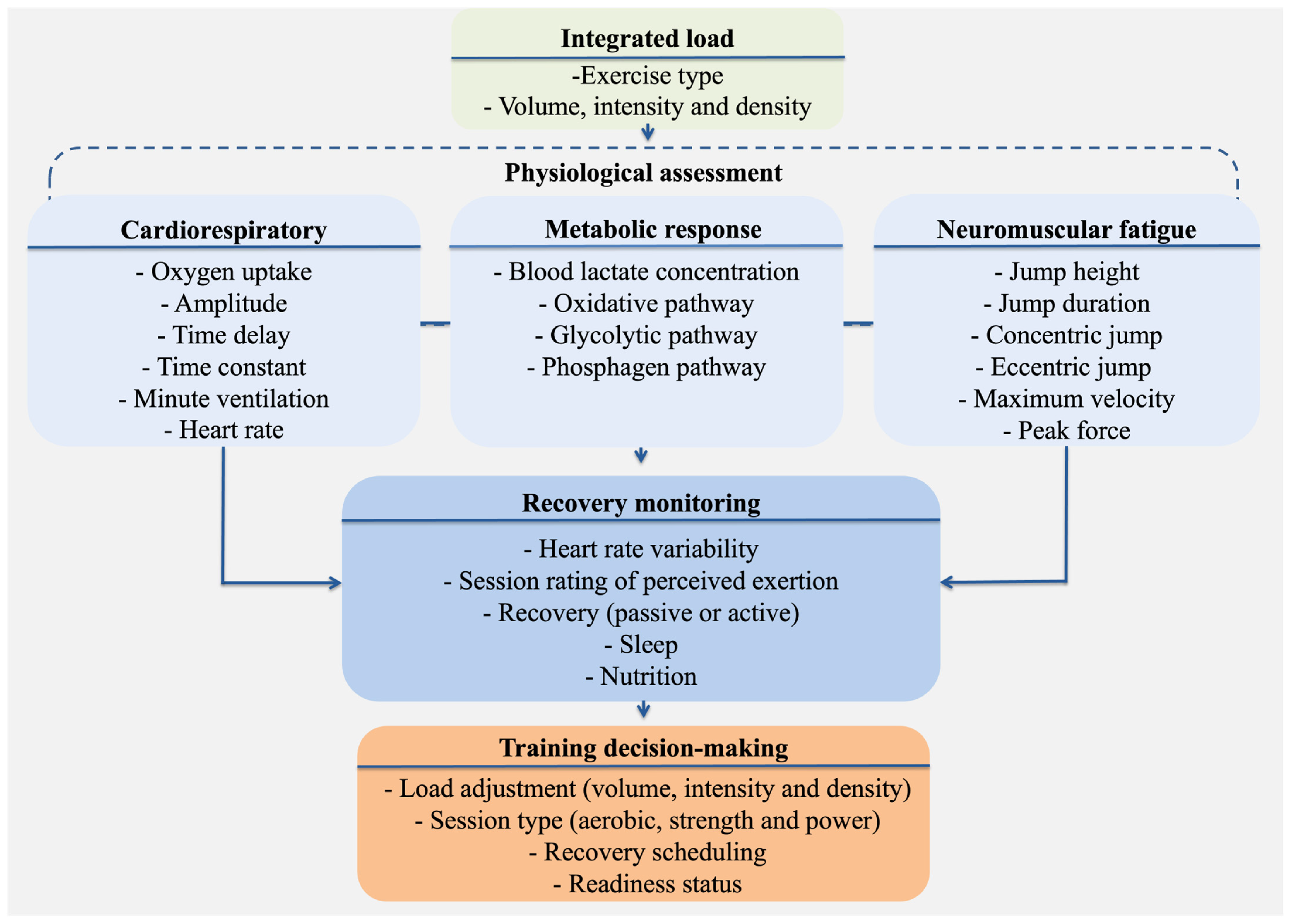 Sports 13 00381 g001