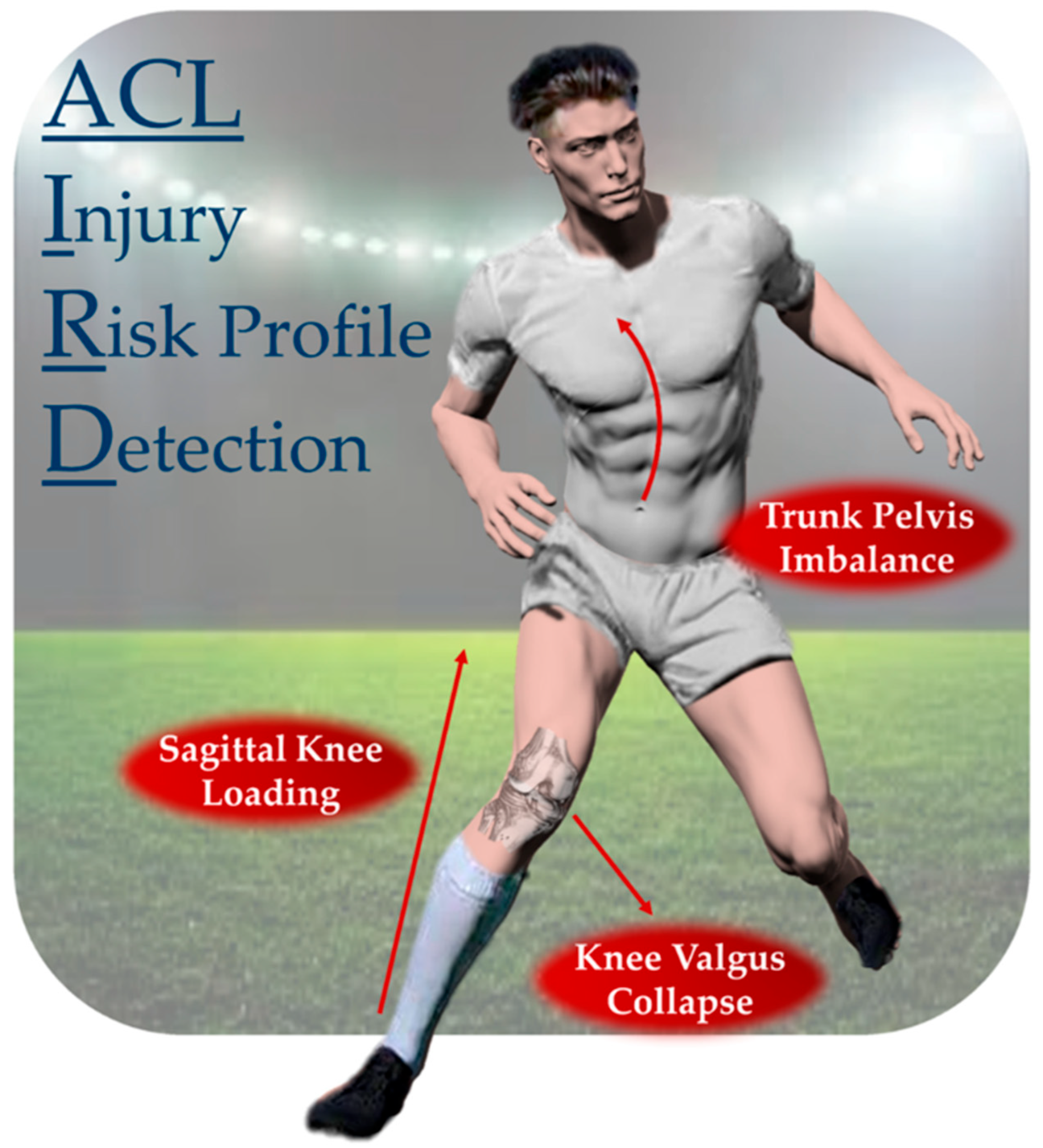 Sports 13 00391 g001 Sports 13 00391 g001