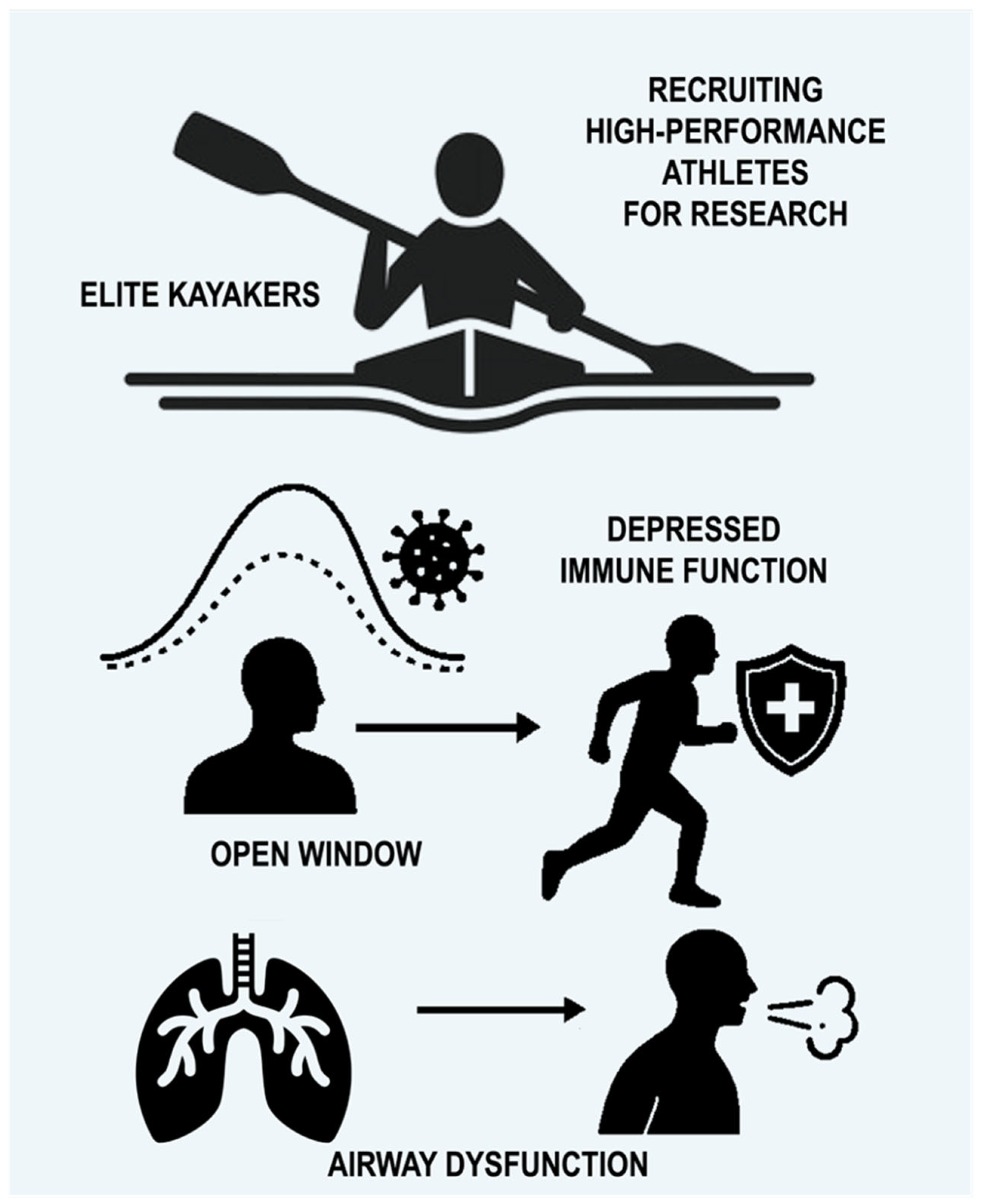 Sports 13 00401 g001