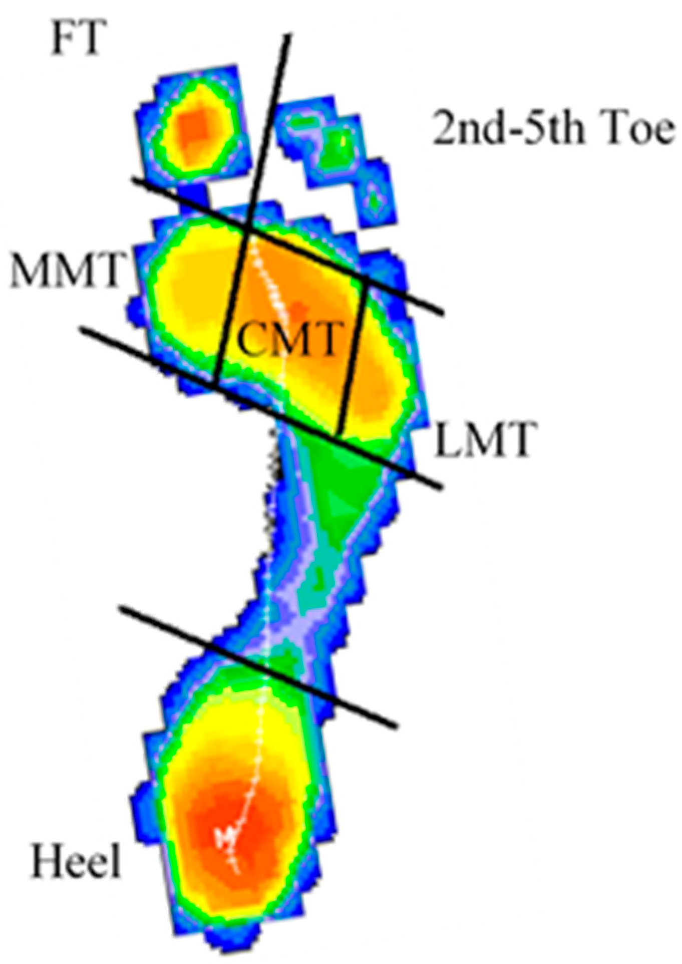 Sports 13 00408 g001