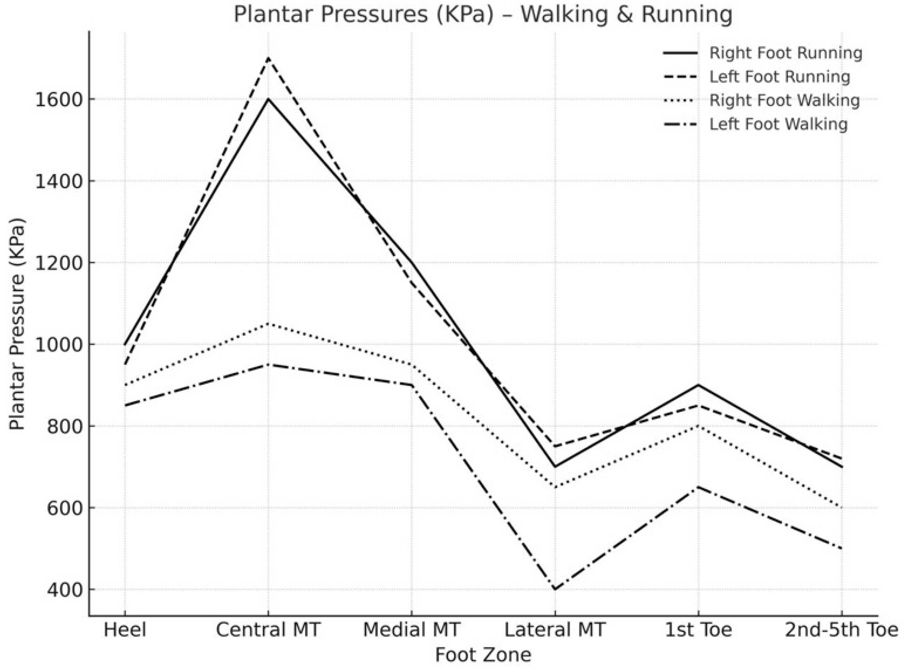 Sports 13 00408 g002