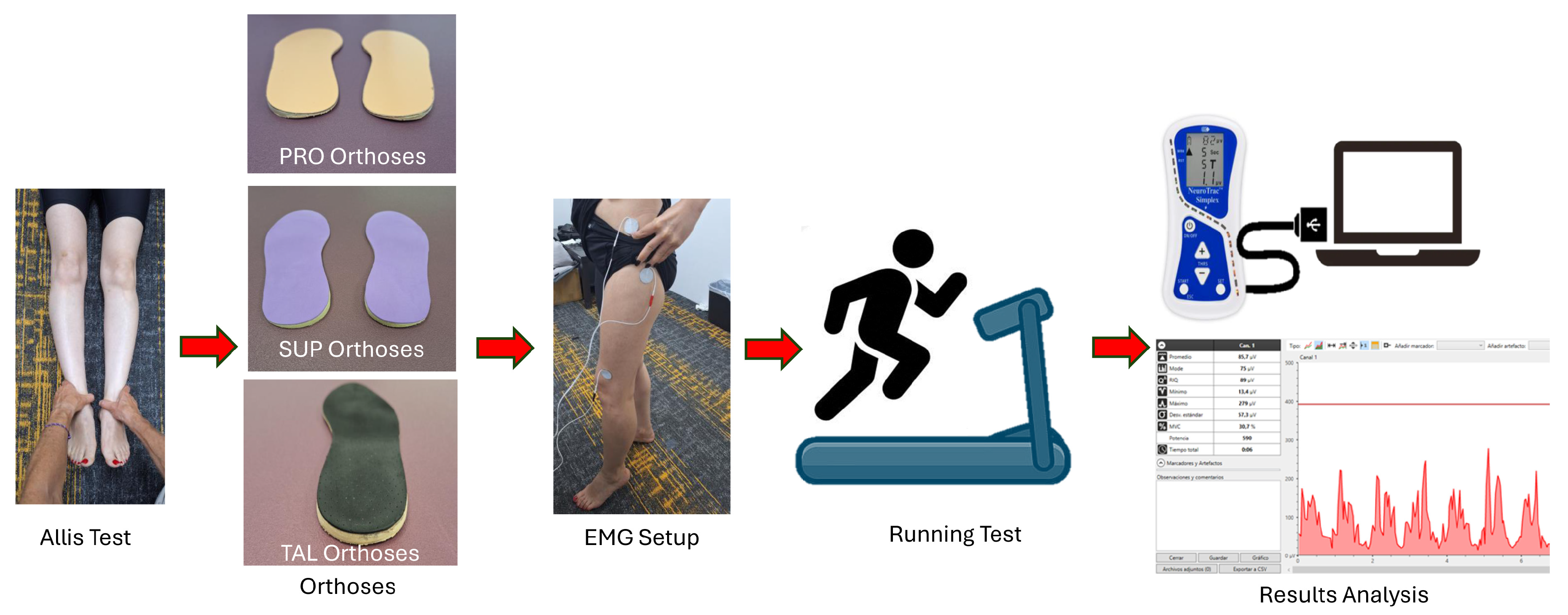 Sports 13 00412 g001