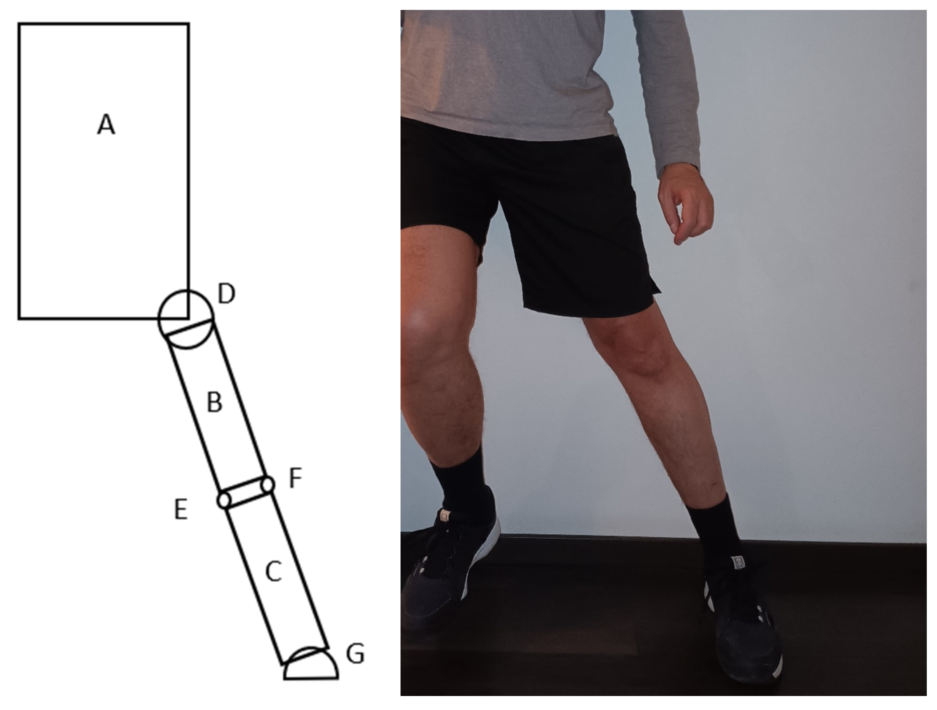 Sports 13 00414 g001