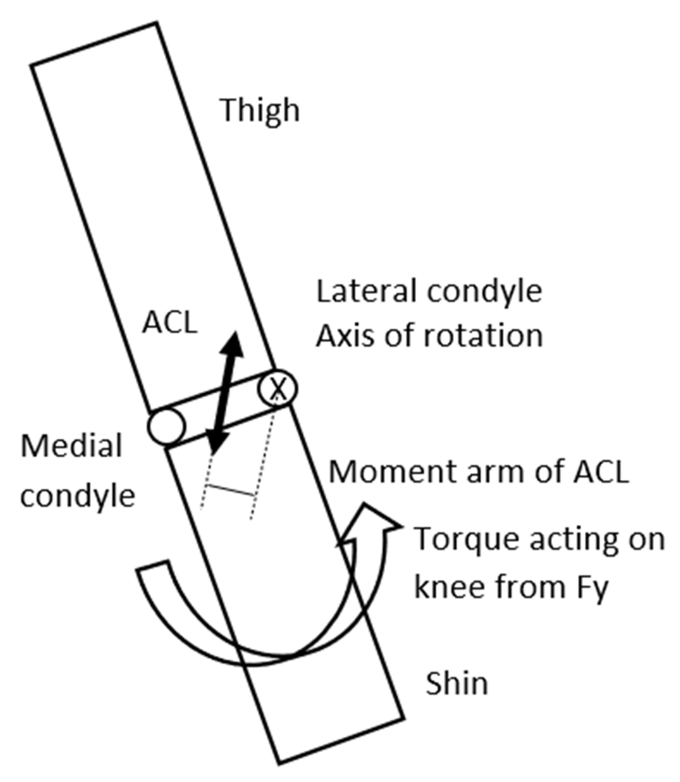 Sports 13 00414 g005