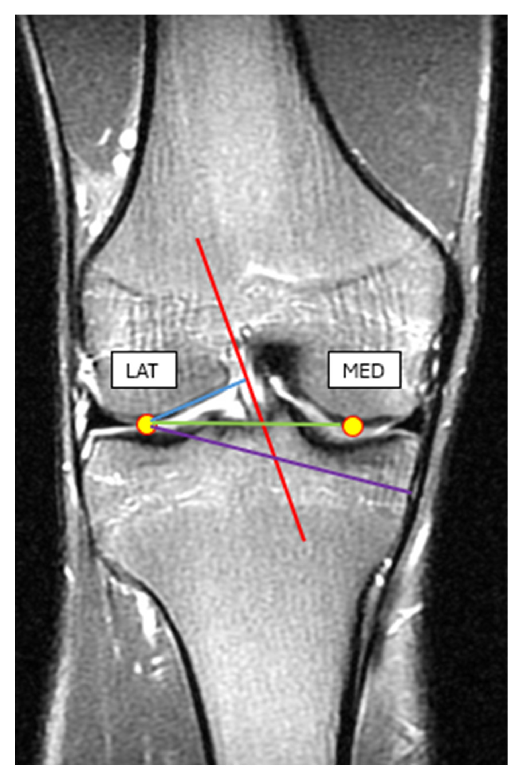 Sports 13 00414 g008