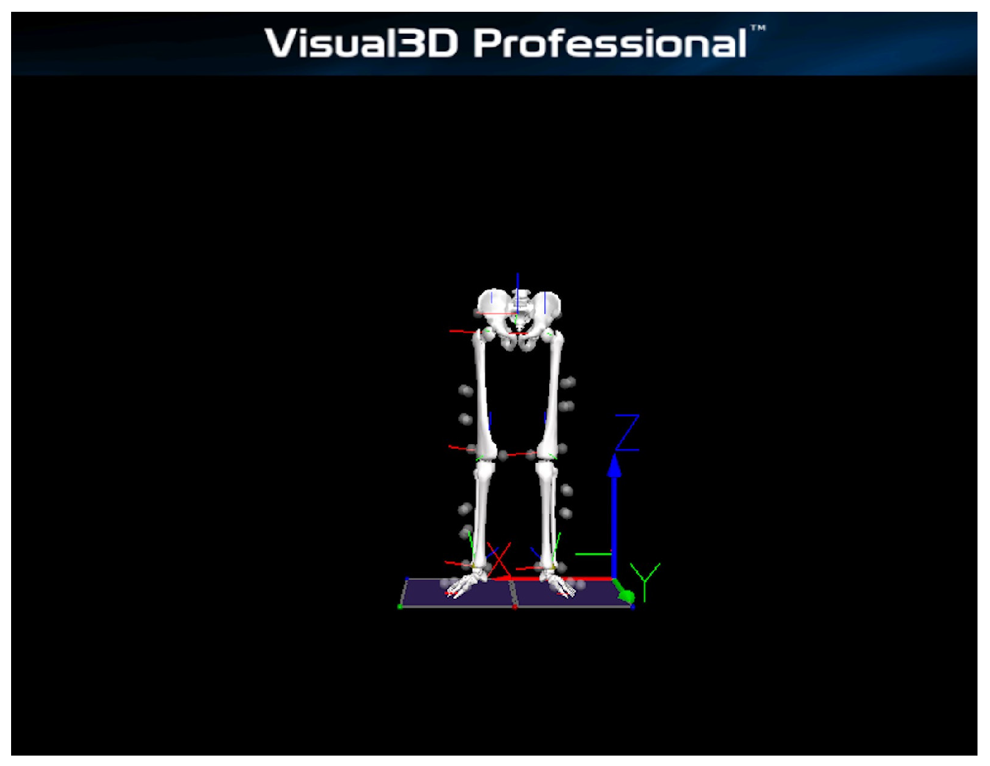 Sports 13 00418 g001