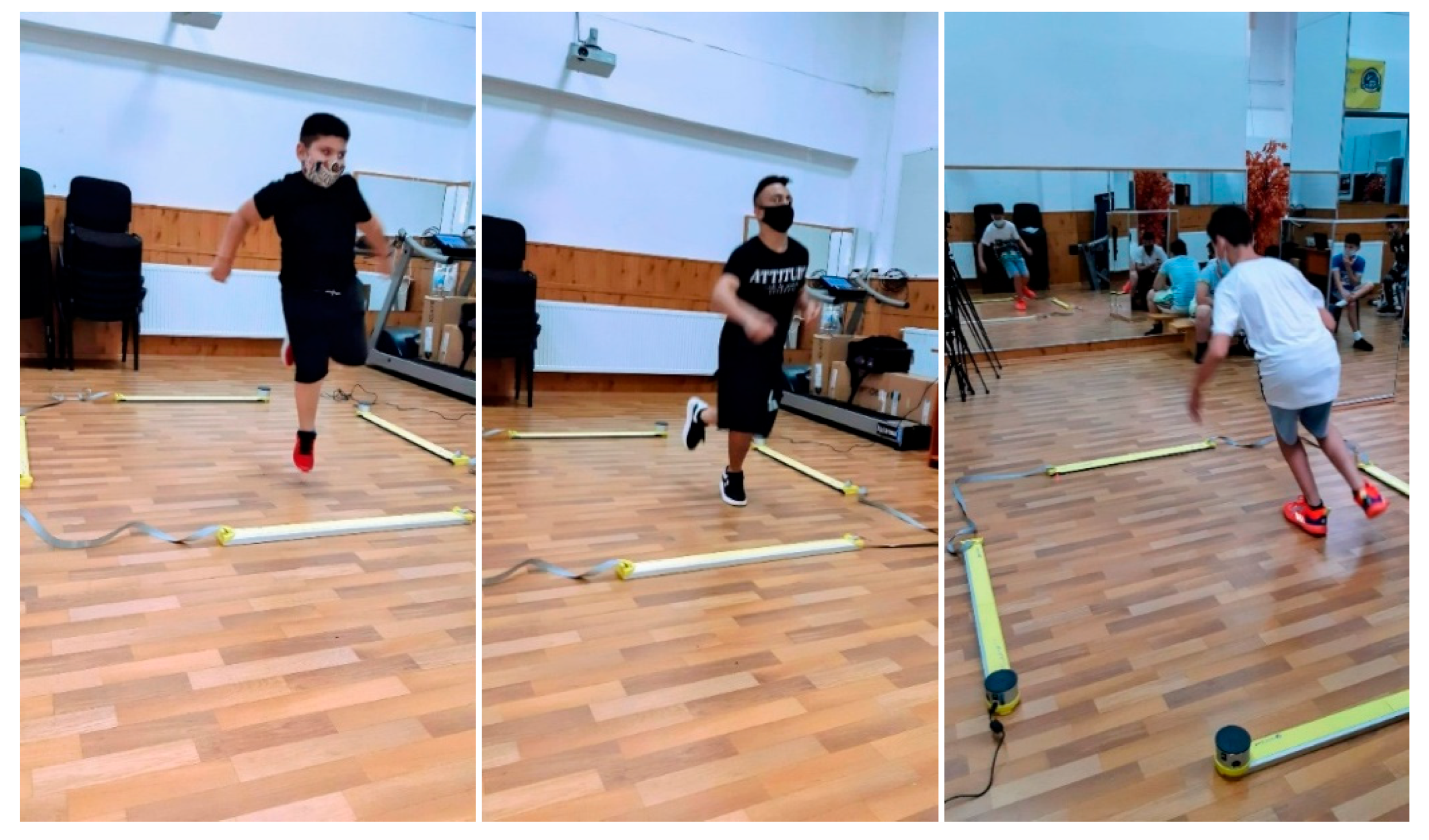 Sports 13 00428 g001