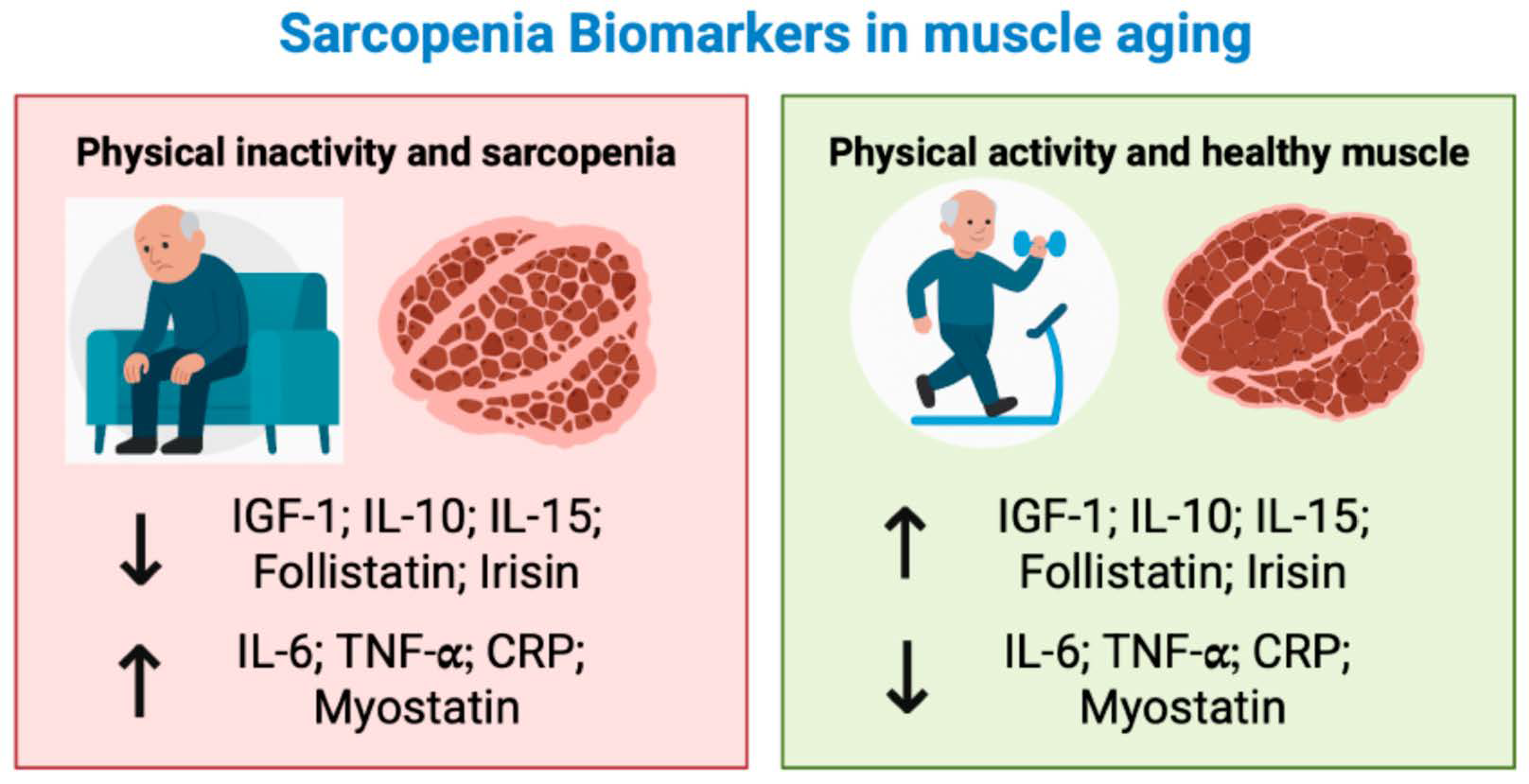 Sports 13 00444 g001