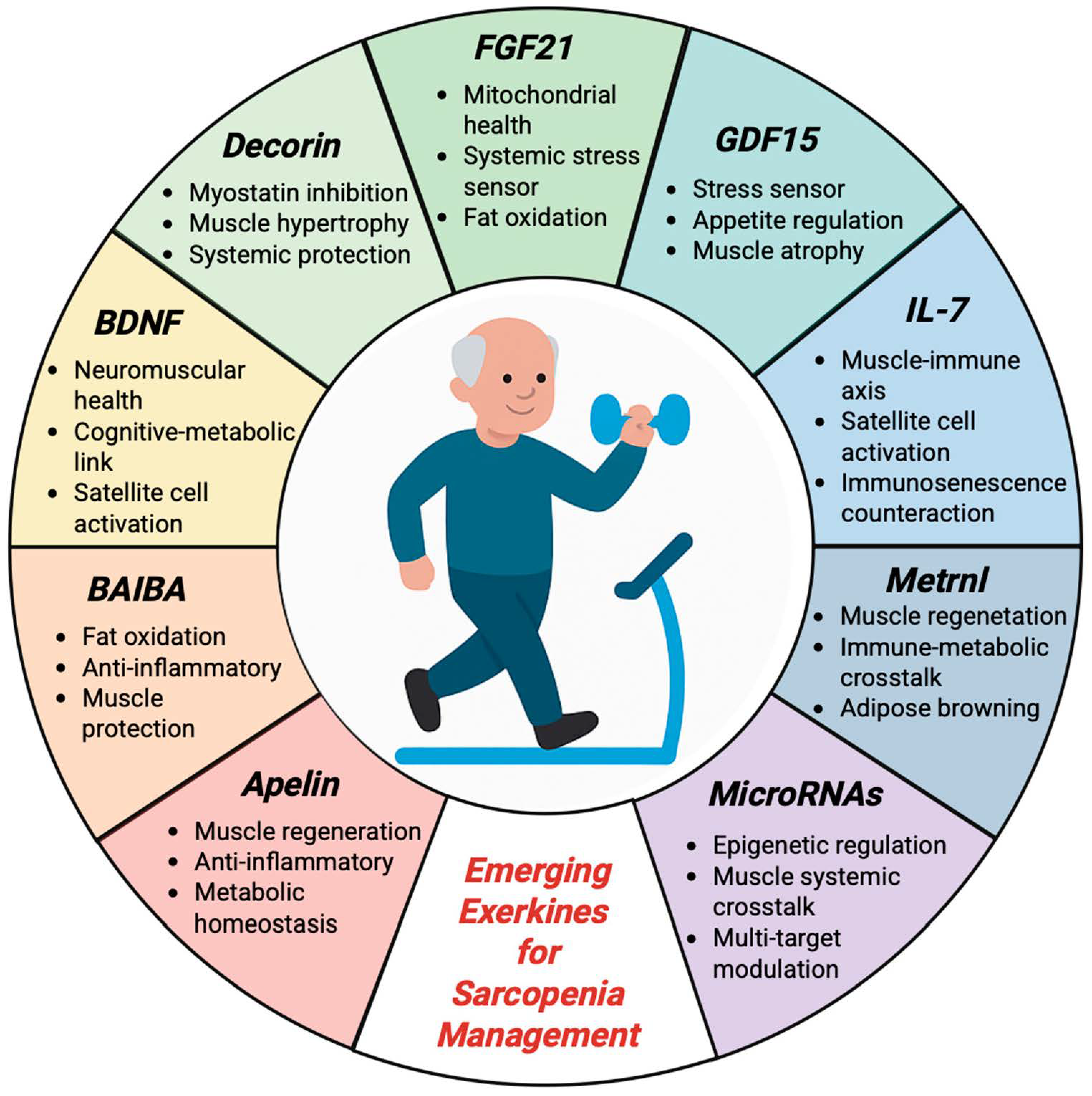 Sports 13 00444 g002